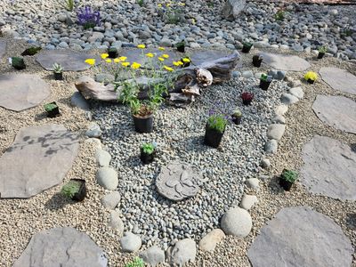 Front Yard Ecological Conversion – A West Coast-Inspired Low-Maintenance Oasis