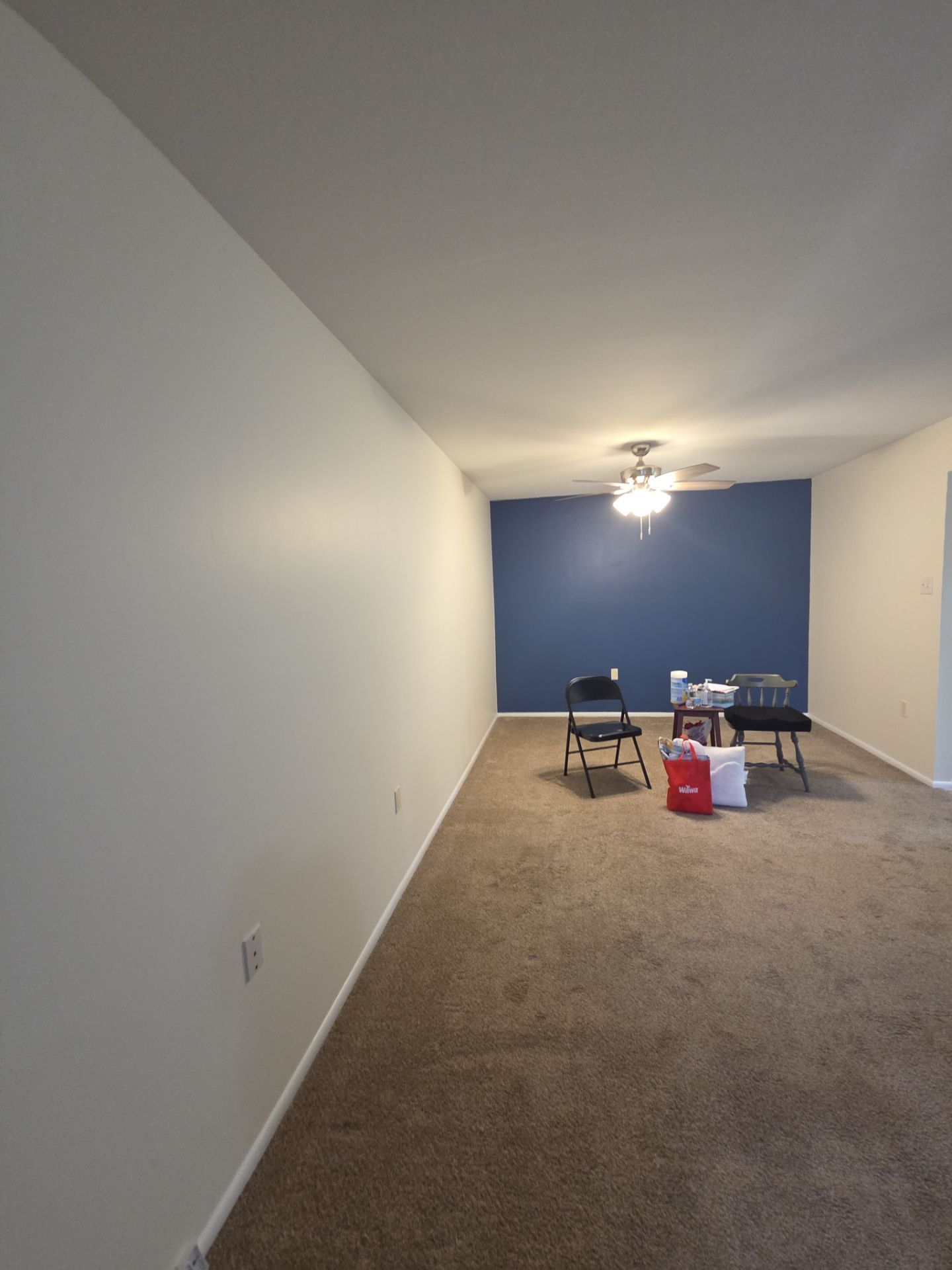 Whole Home Interior Refresh in Ambler by Groovy Hues