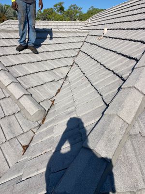 Concrete Tile Roof Repair and Maintenance in Longwood