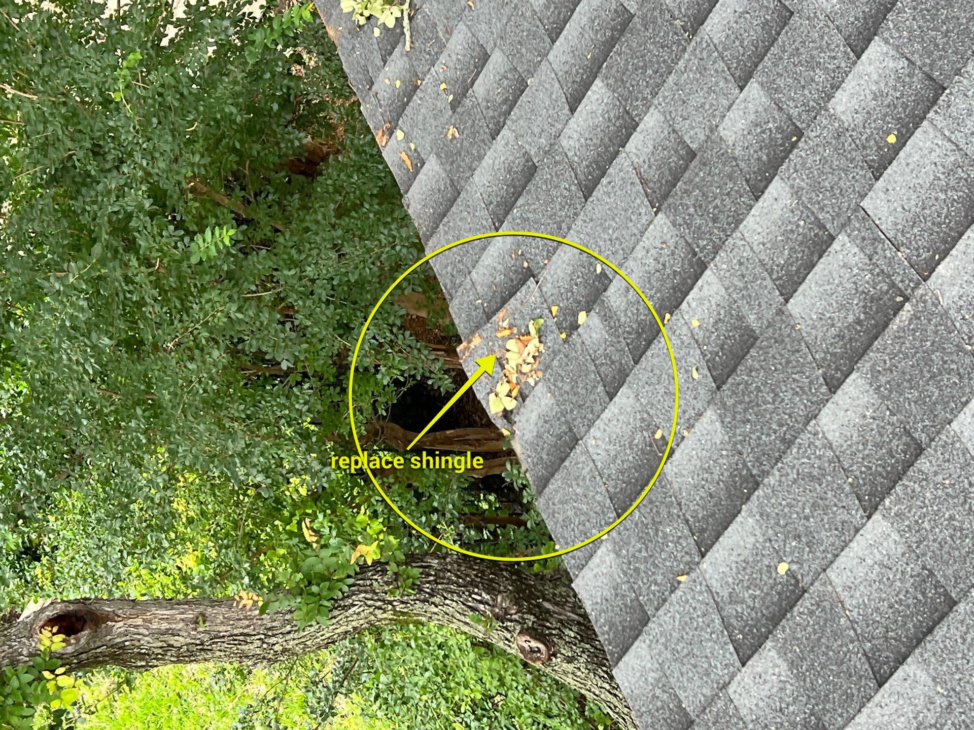 Project in Dallas by Rhino Roofing and General Contracting, LLC