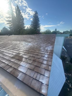 Roof Rejuvenation using Roof Maxx Treatment