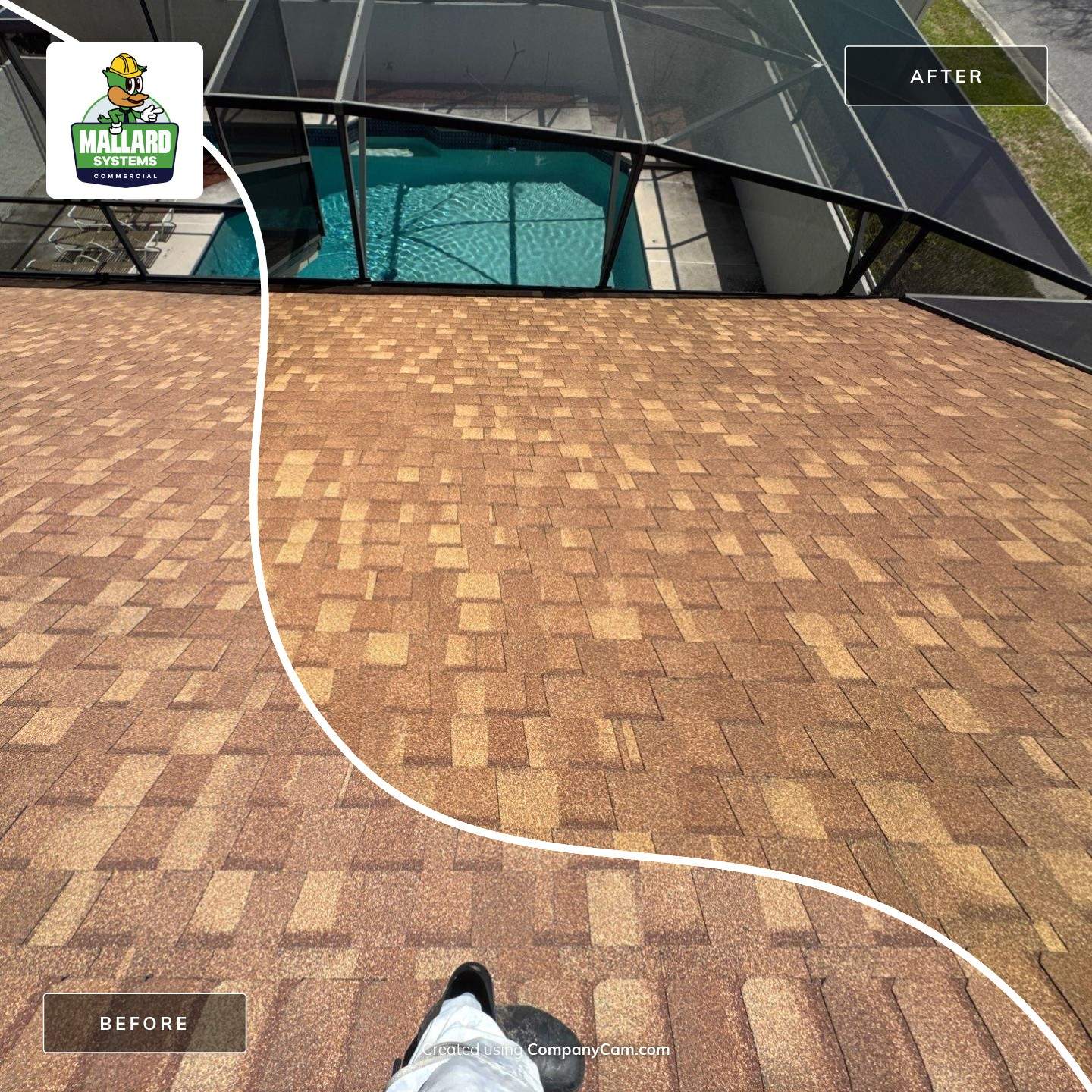 Shingle Roof Cleaning by Mallard Systems