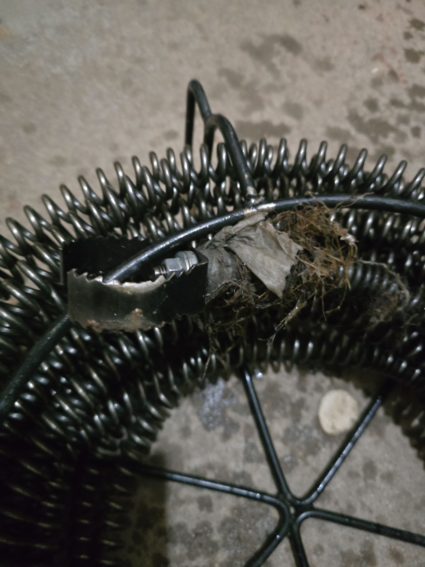 Pro-Rooter Plumbing & Drain Services featured photo.
