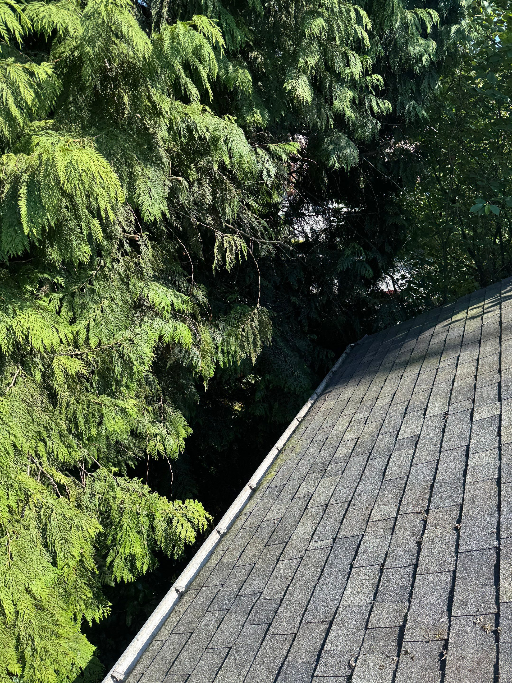 Gutter Cleaning in West Vancouver by YVR Construction Group
