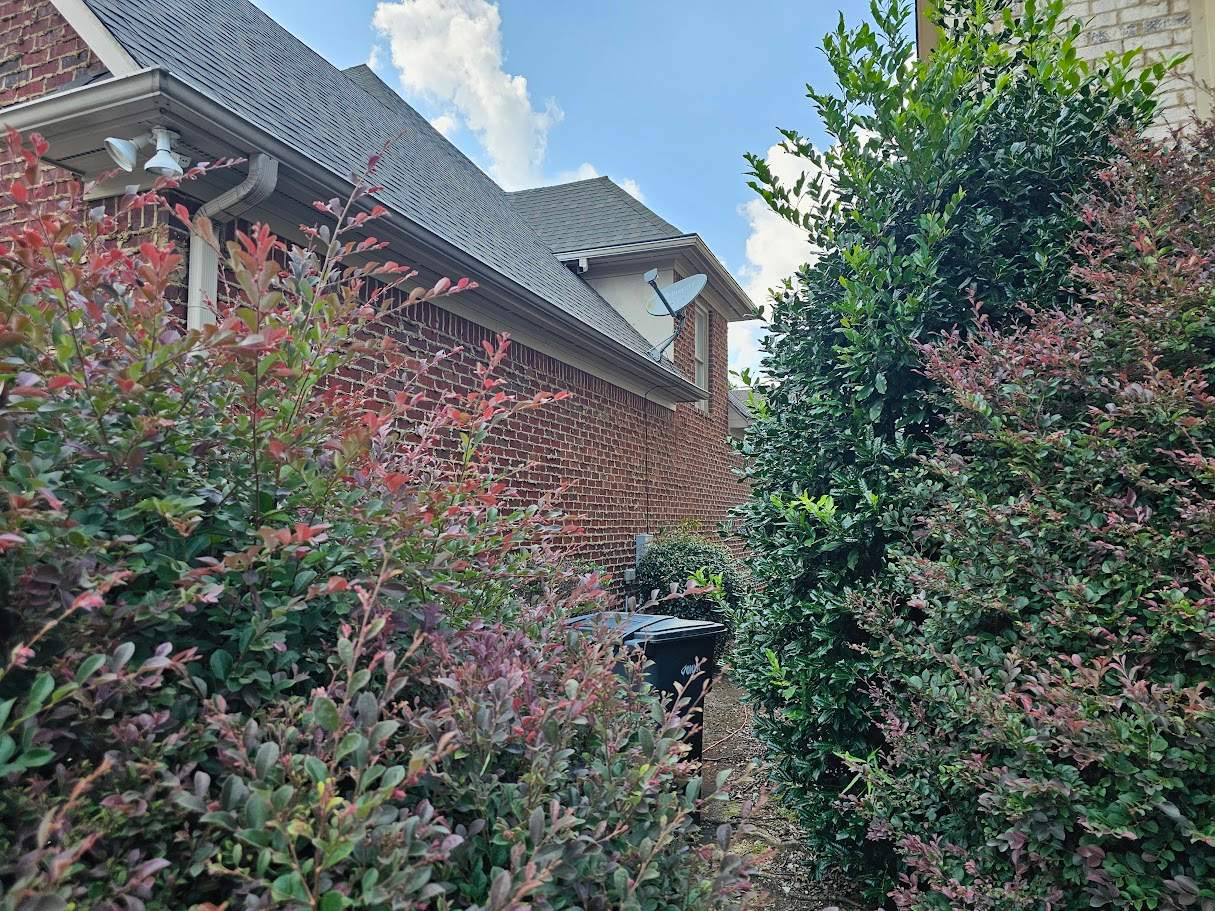 Schilling Project in Birmingham by The Window Source