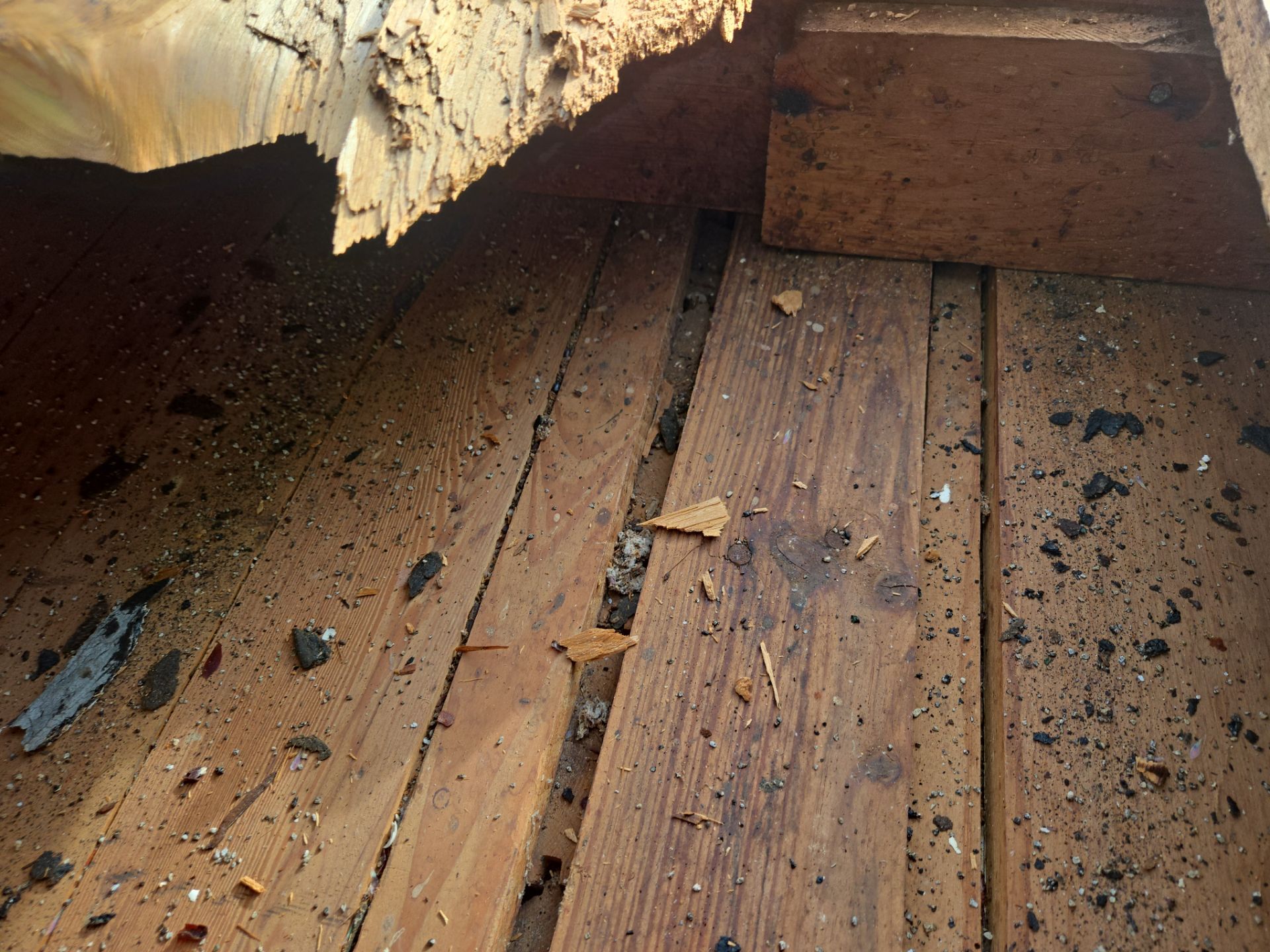 Project in St. Petersburg 33709 by Mitchell Roofing Company LLC 