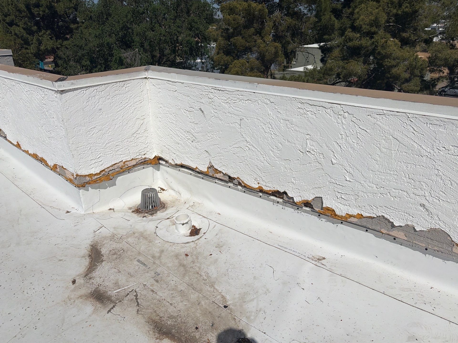 Project in Glendale by Crush Development Services LLC