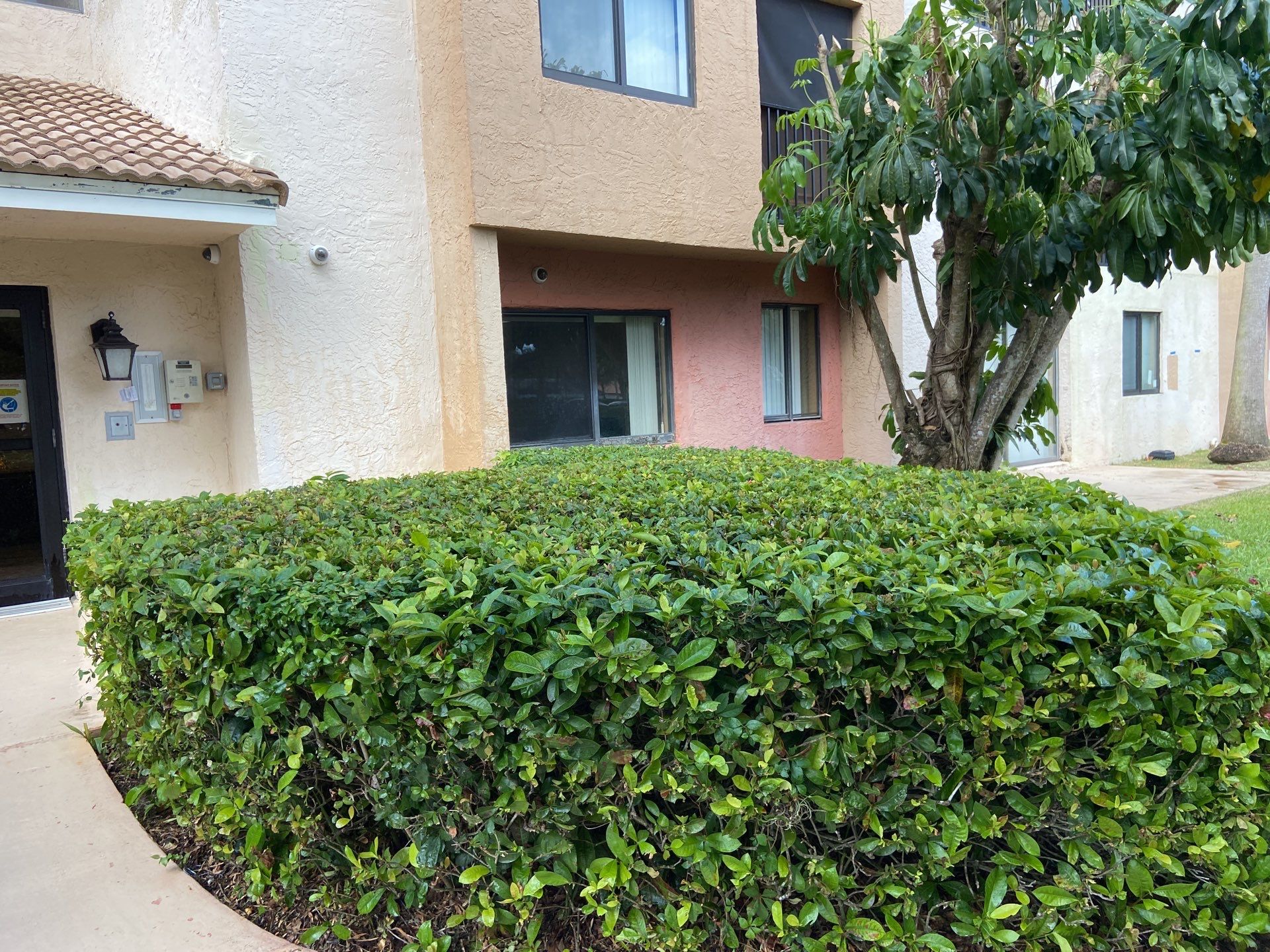 Commercial Roof Cleaning Coral Springs by BKB Pressure Cleaning LLC