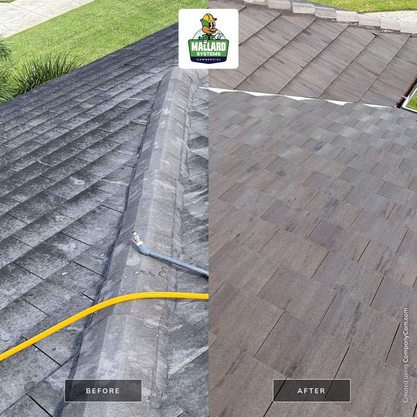 Residential Roof Cleaning in Winter Garden by Mallard Systems