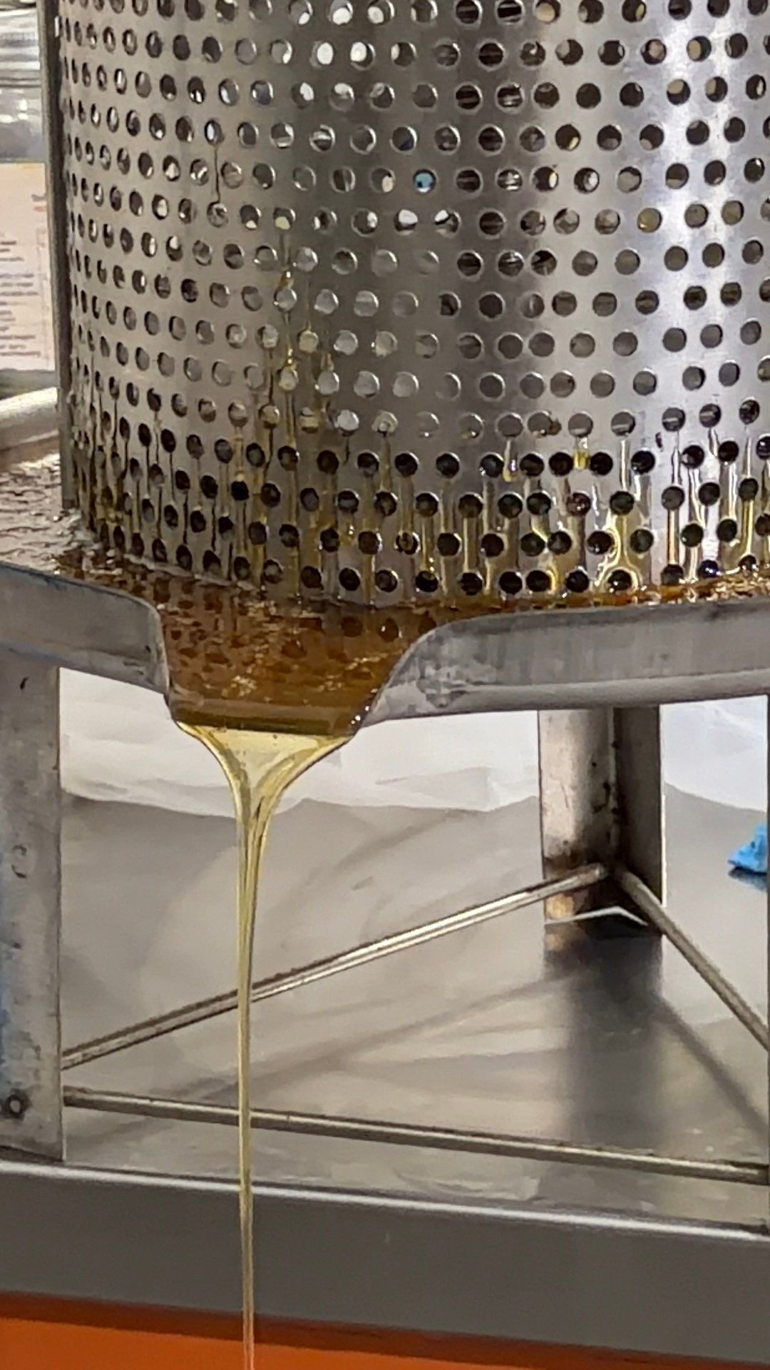 Project in Royse City, TX by Rockwall Honey Bee Company