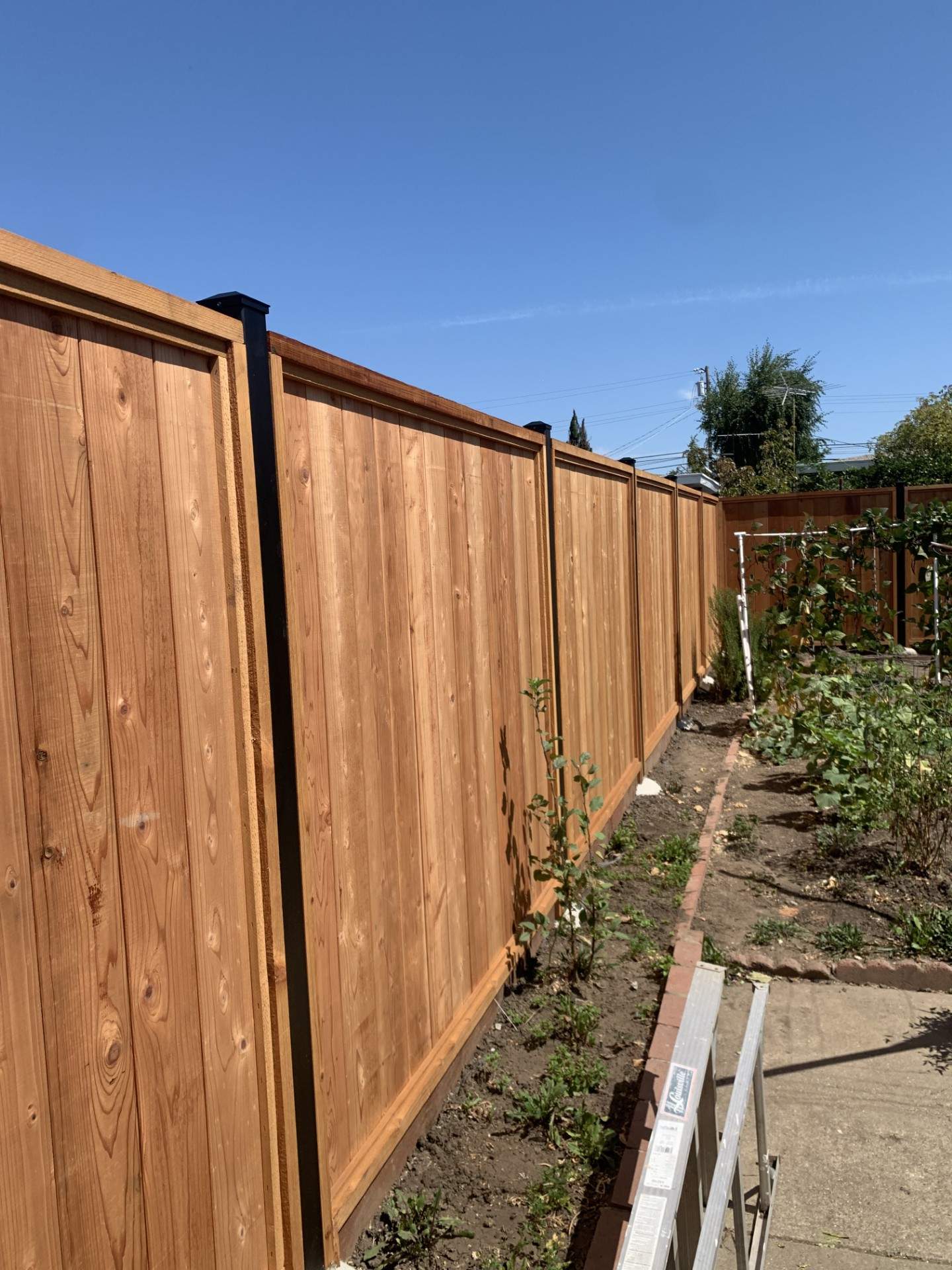 T&G With Steel Posts by Fremont Fence Inc