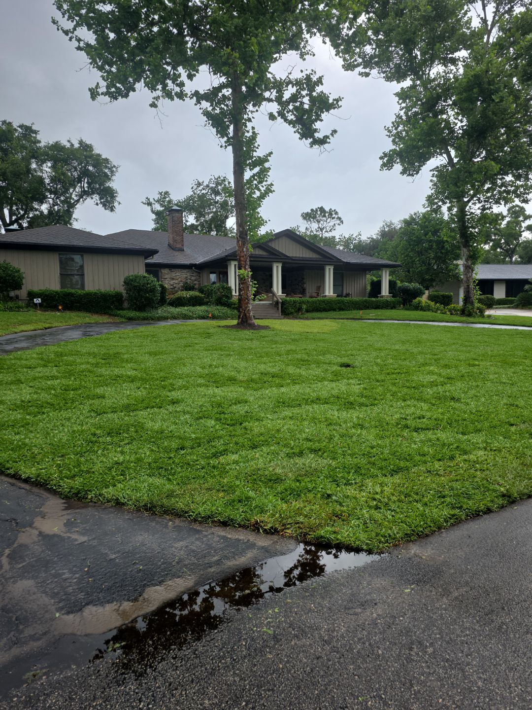 Deerwood Resident | Sod & Plant Install by ProGreen Services