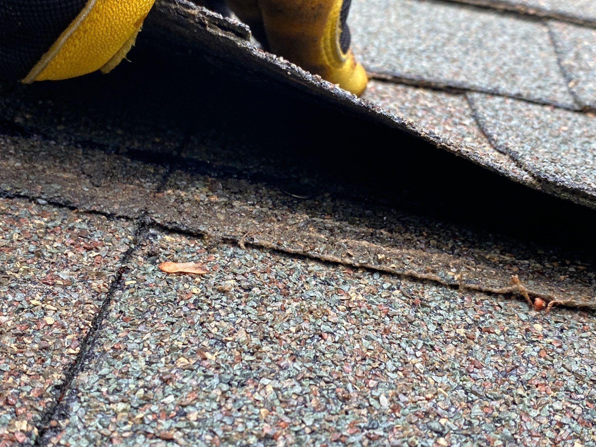 Roofing | Chelmsford by Mighty Dog Roofing of Greater Middlesex County