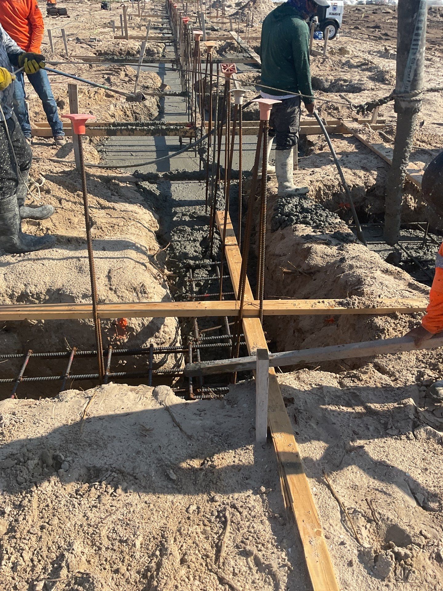 TRACTOR SUPPLY NAPLES by Southern Gulf Construction