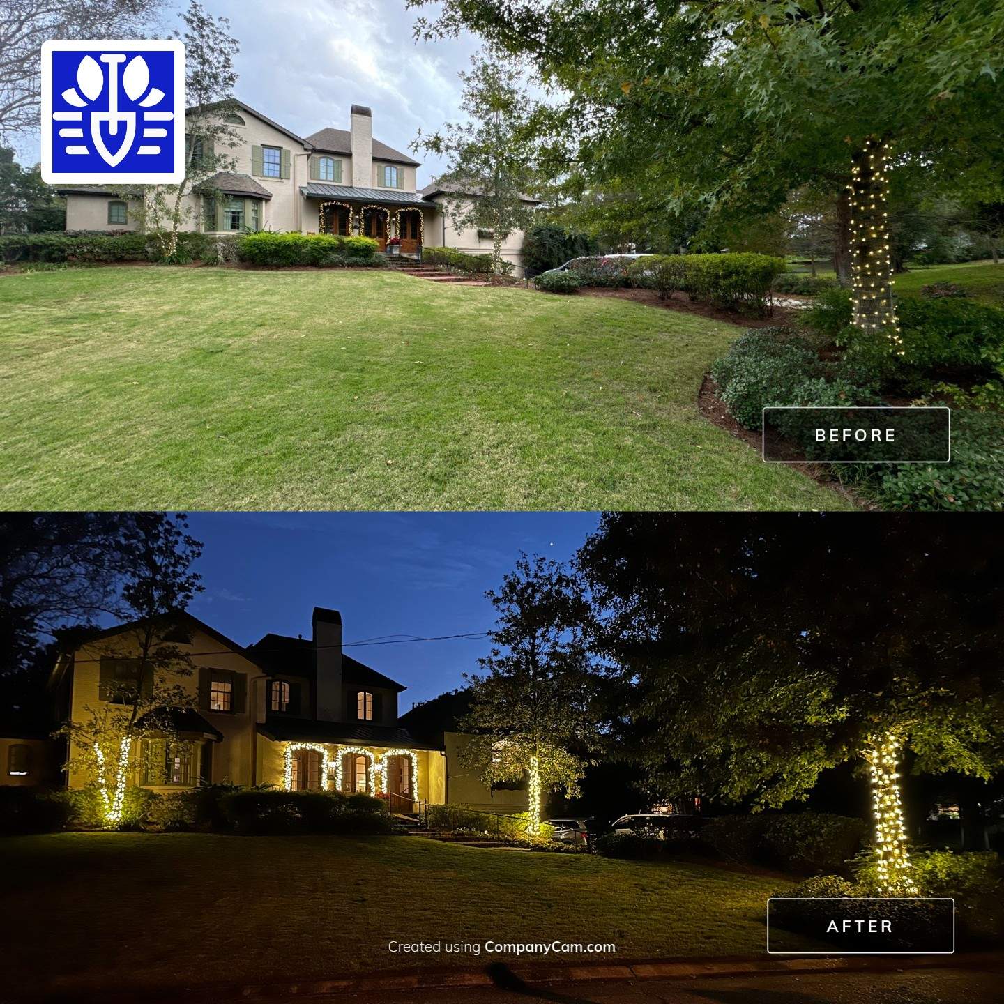 WINTER SERVICES: HOLIDAY LIGHTING using PRE LIT GARLAND & 5MM TREE WRAP STRANDS by CutScape, LLC.