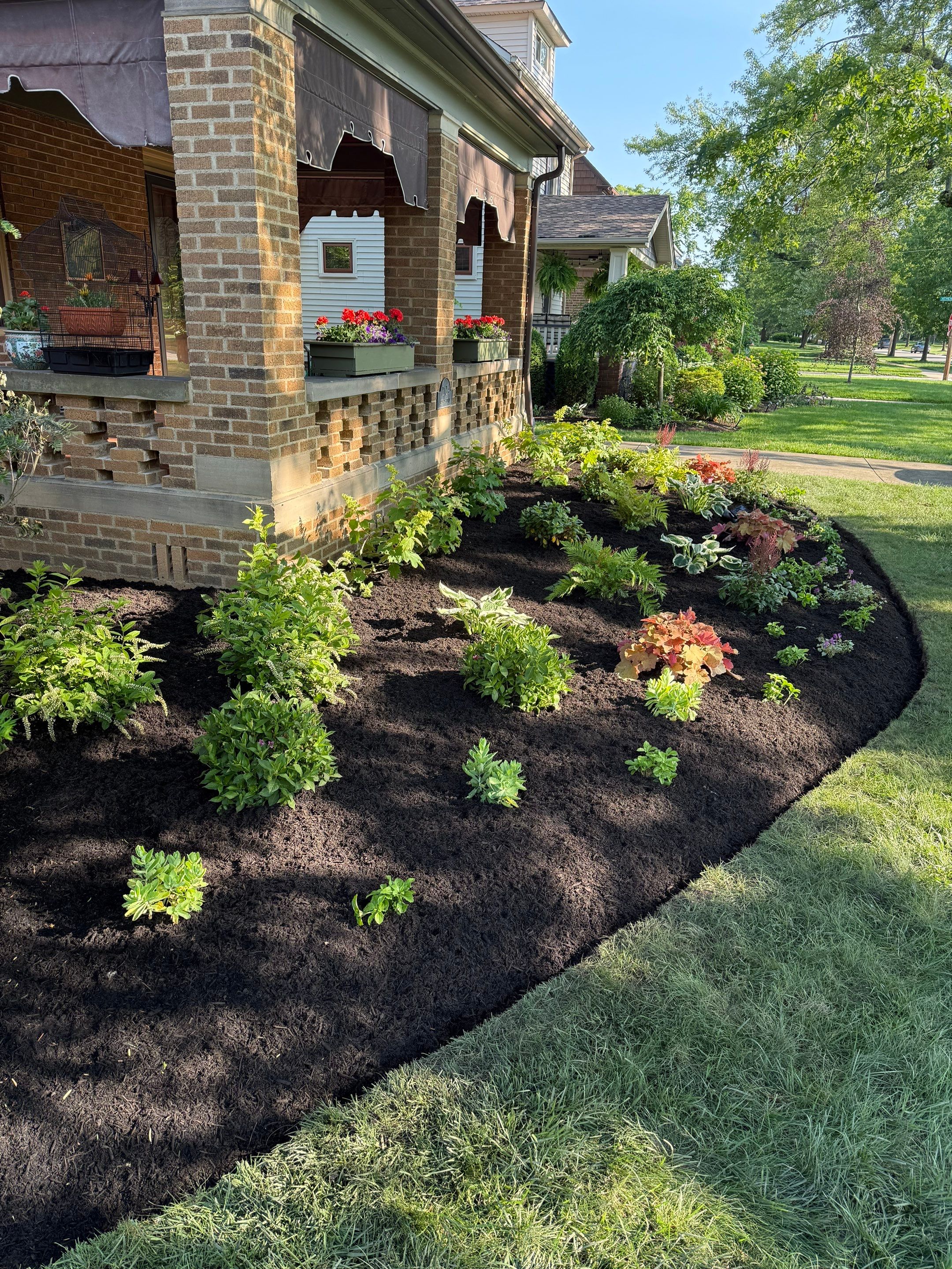 Historic Arthur Project by Elm Rose Gardens