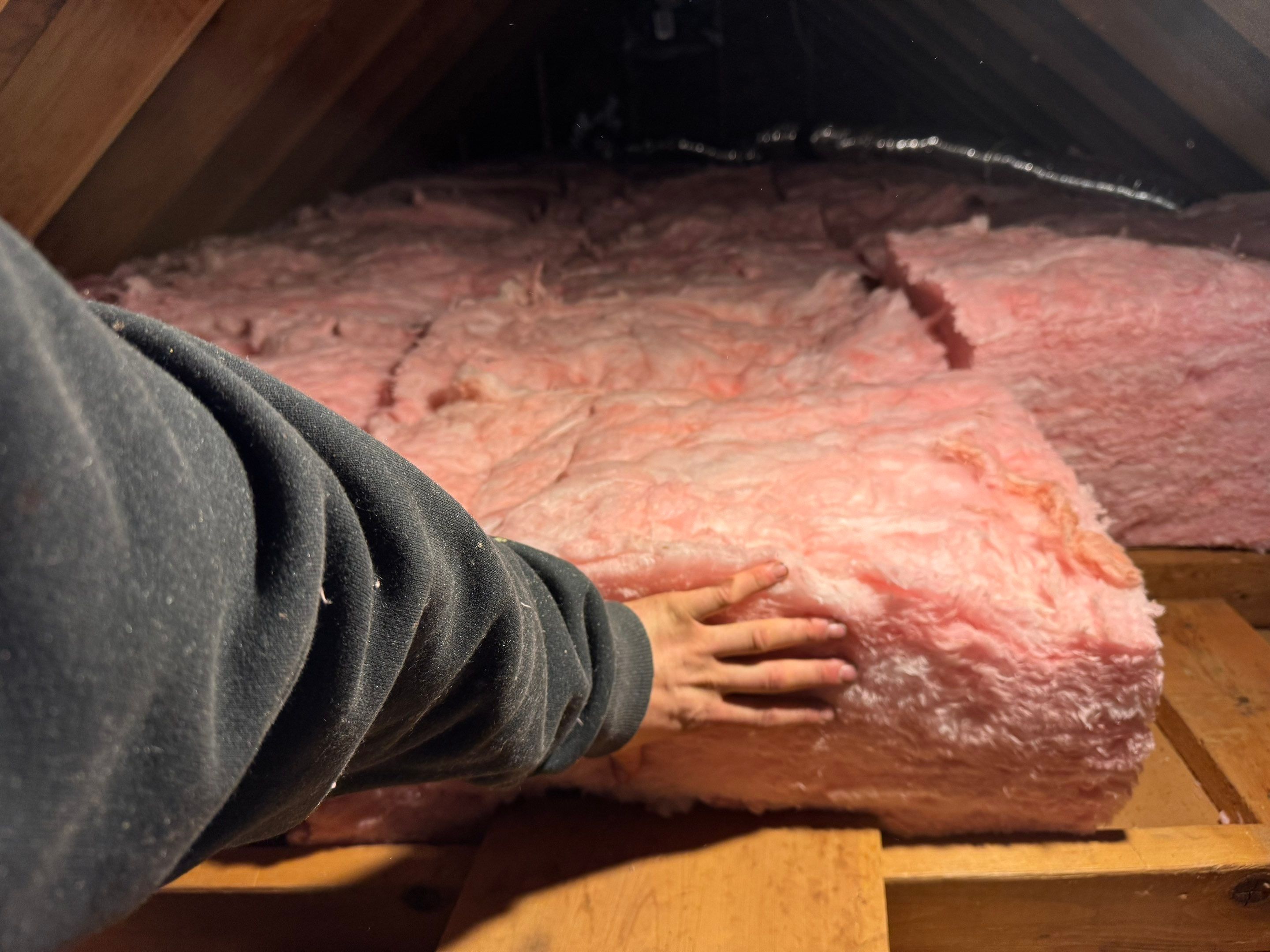 Attic Mold Remediation using Home Guarantee by Home Guarantee, LLC