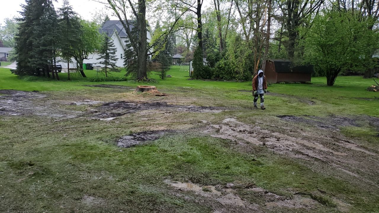 Tree Removal using Tree Removal by Mike Jones & Sons Tree Service LLC 