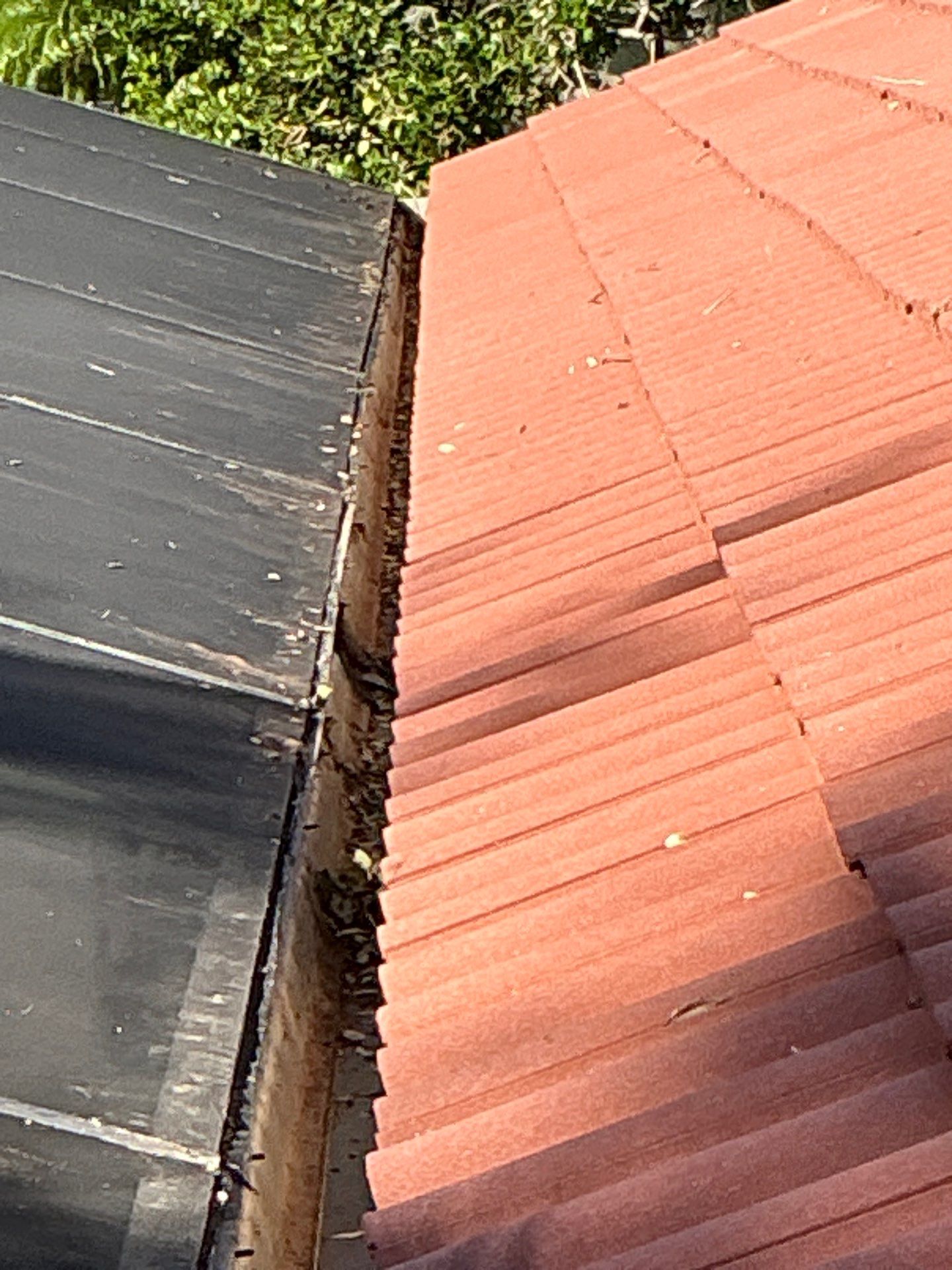 Gutter Cleaning Services in Sarasota FL by Gutter Professors