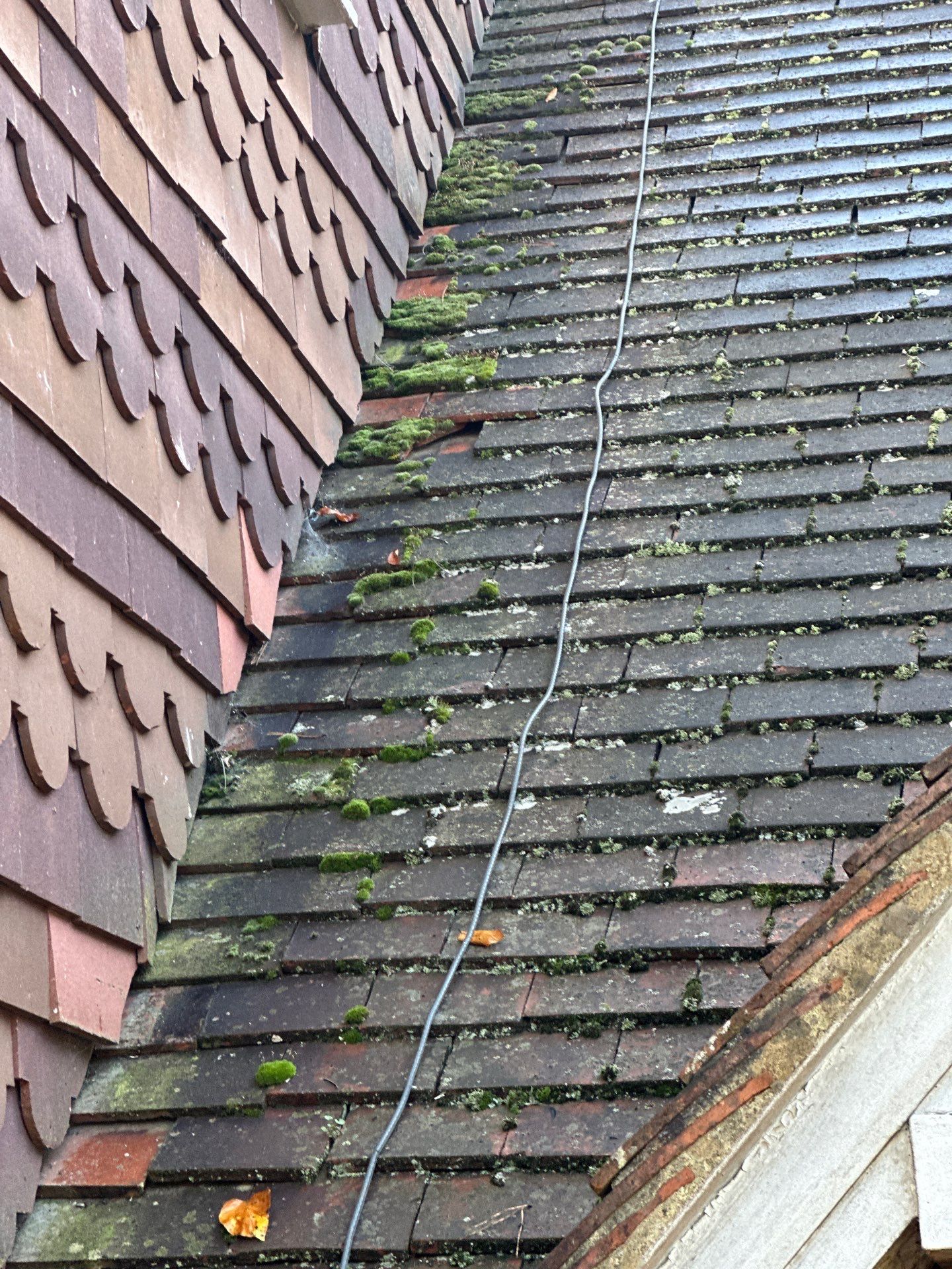 Roof Clean  - Moss Removal - Gutter Clean using Honda 15lpm Low Pressure Washing Machine by Ges Exterior Cleaning ltd