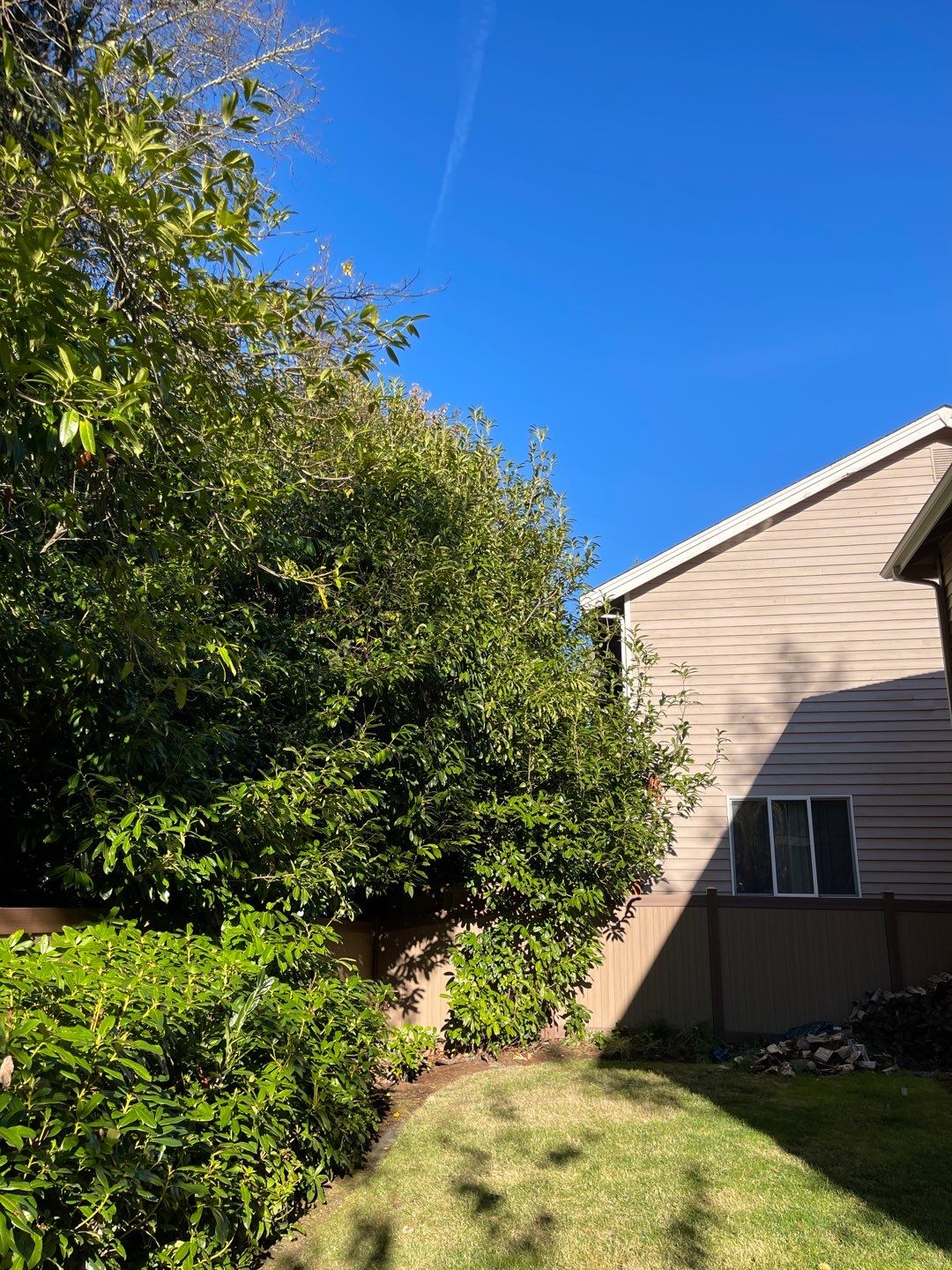 Tree Removal using Tree Removal by Mike Jones & Sons Tree Service LLC 