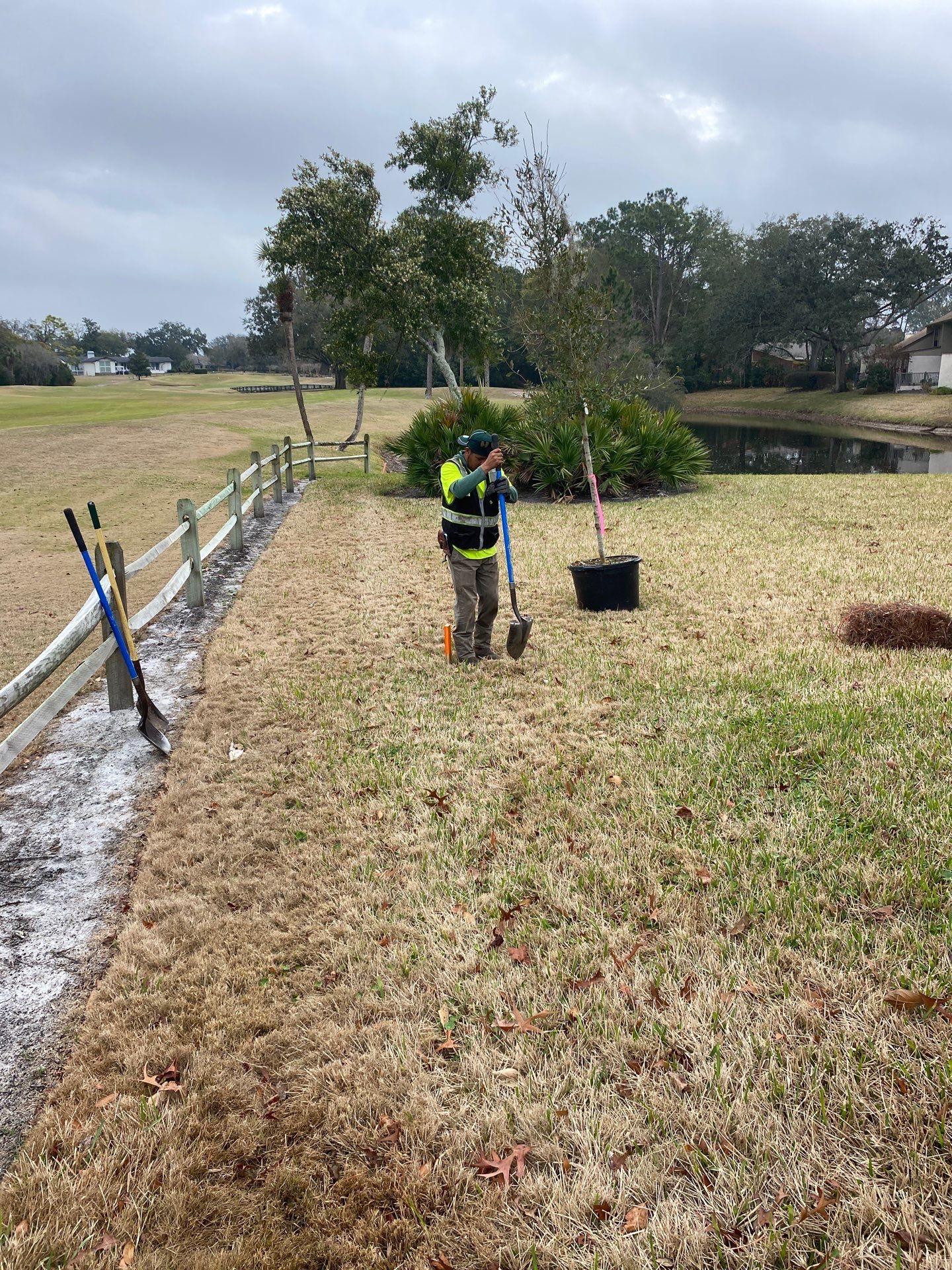 Deerwood Resident | Tree Install by ProGreen Services