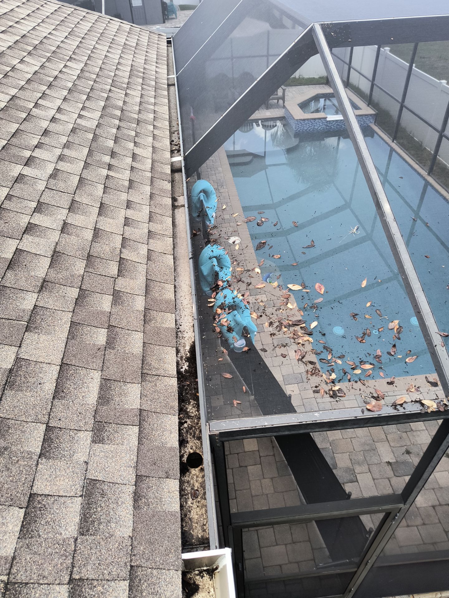 Professional Gutter Cleaning in Lutz FL by Gutter Professors
