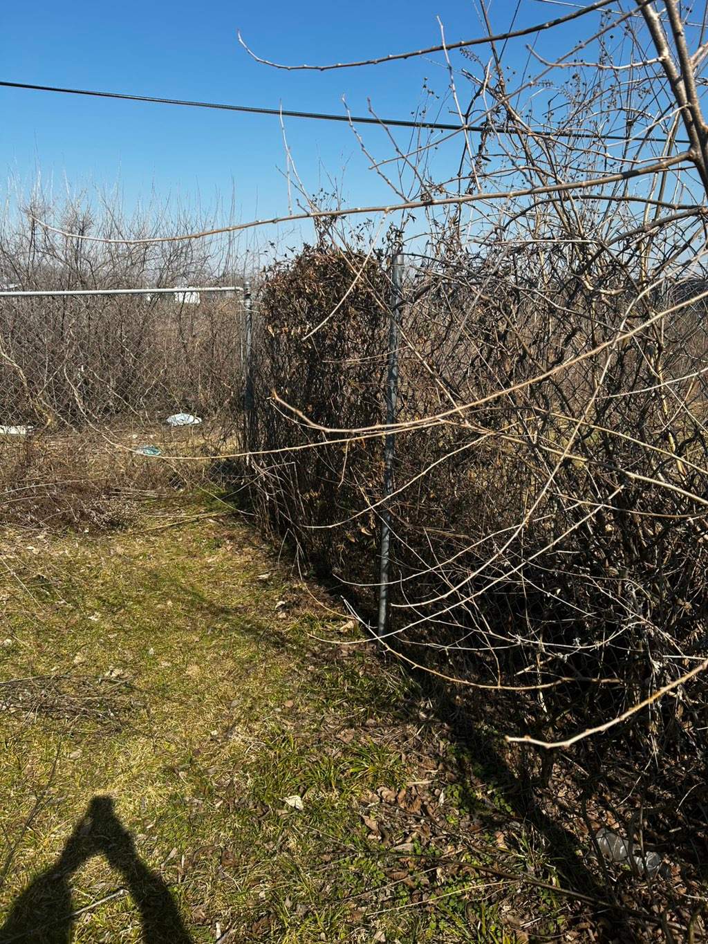 Chain Link Fence Repair and Custom Gate Installation – East St. Louis, IL by Legendary Services Company LLC.