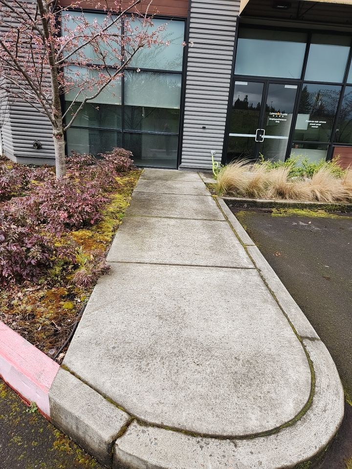 Soft Wash using Soft wash solution by Willamette Outdoor Wash LLC