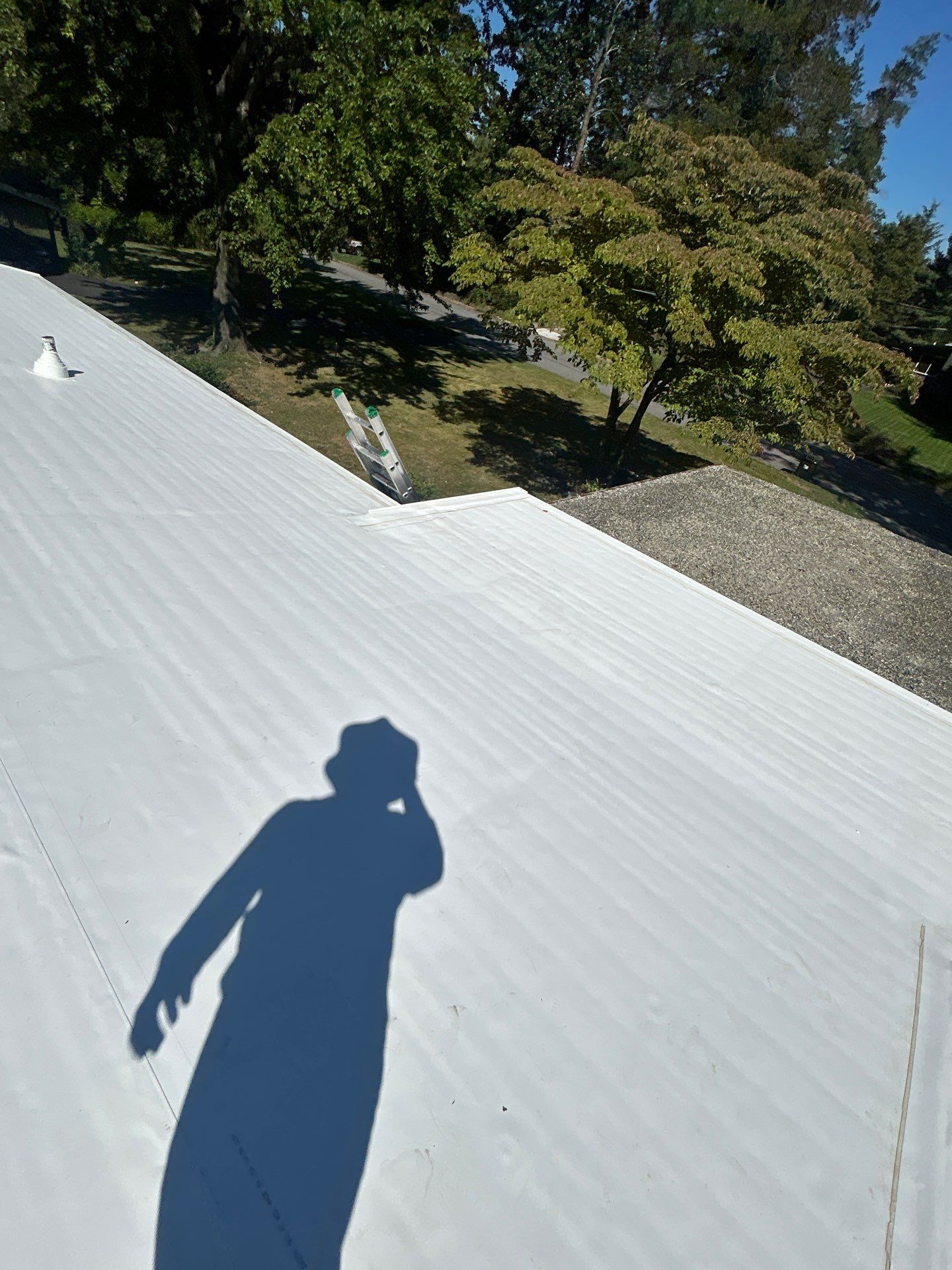 Falls Church :  TPO by RM Banning, Inc.