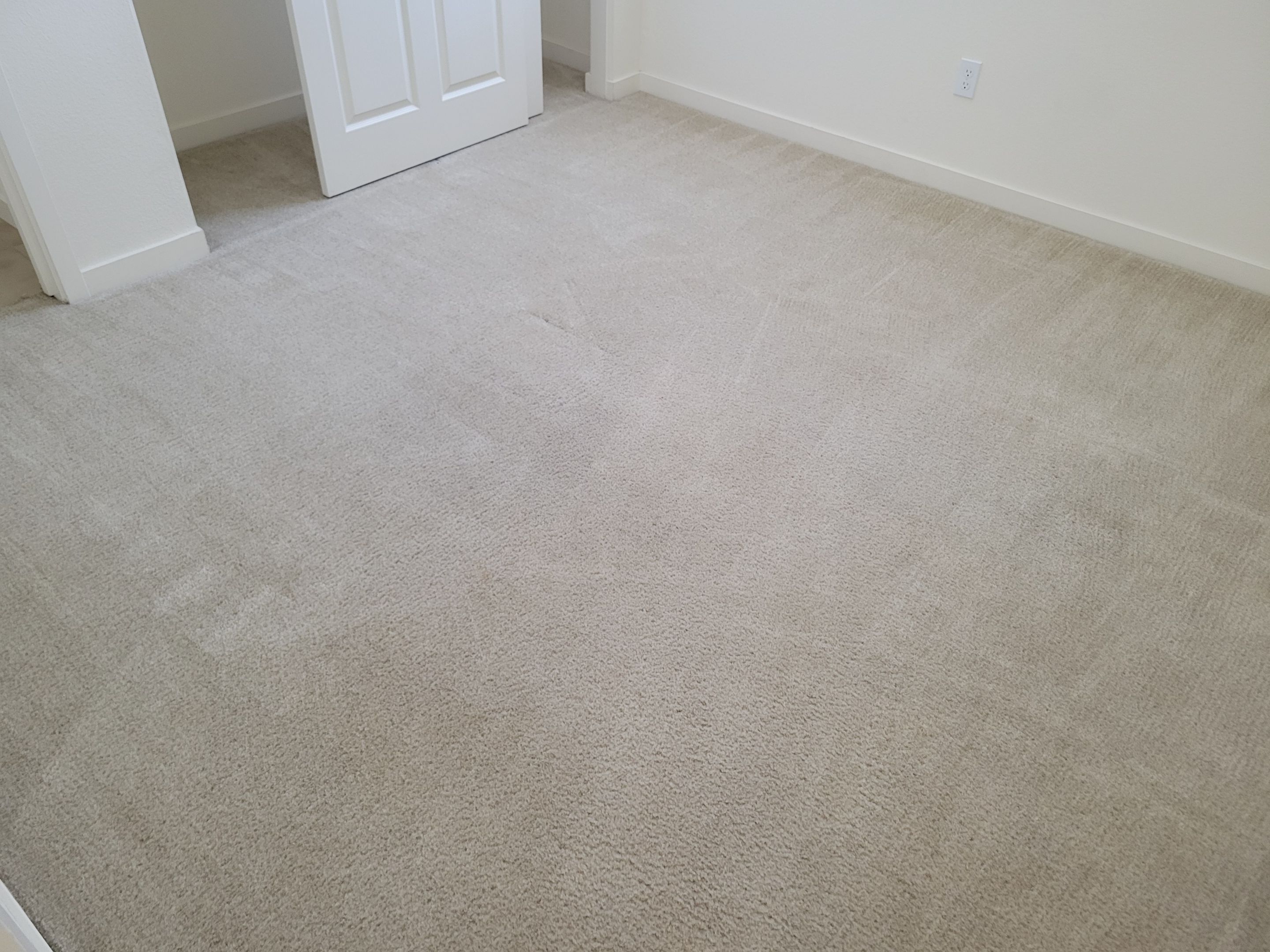 Carpet Cleaning & Stain Removal by Ardent Carpet Restore LLC