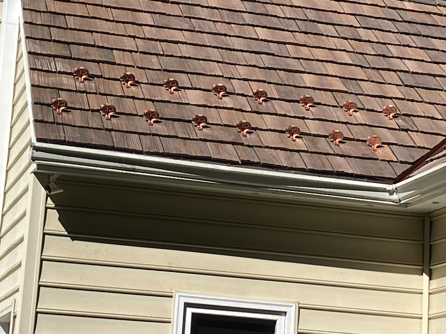 Fairfax Brava roof by American Custom Contractors