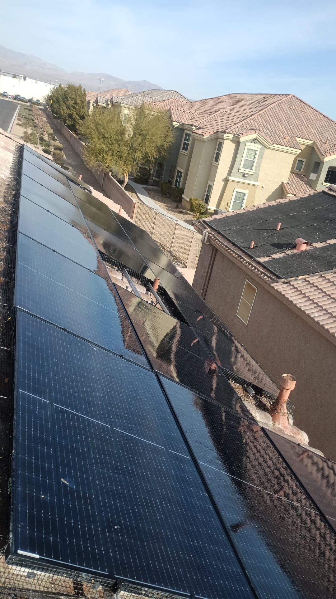 Excessive pigeon problem  by Solar Honest Cleaning 