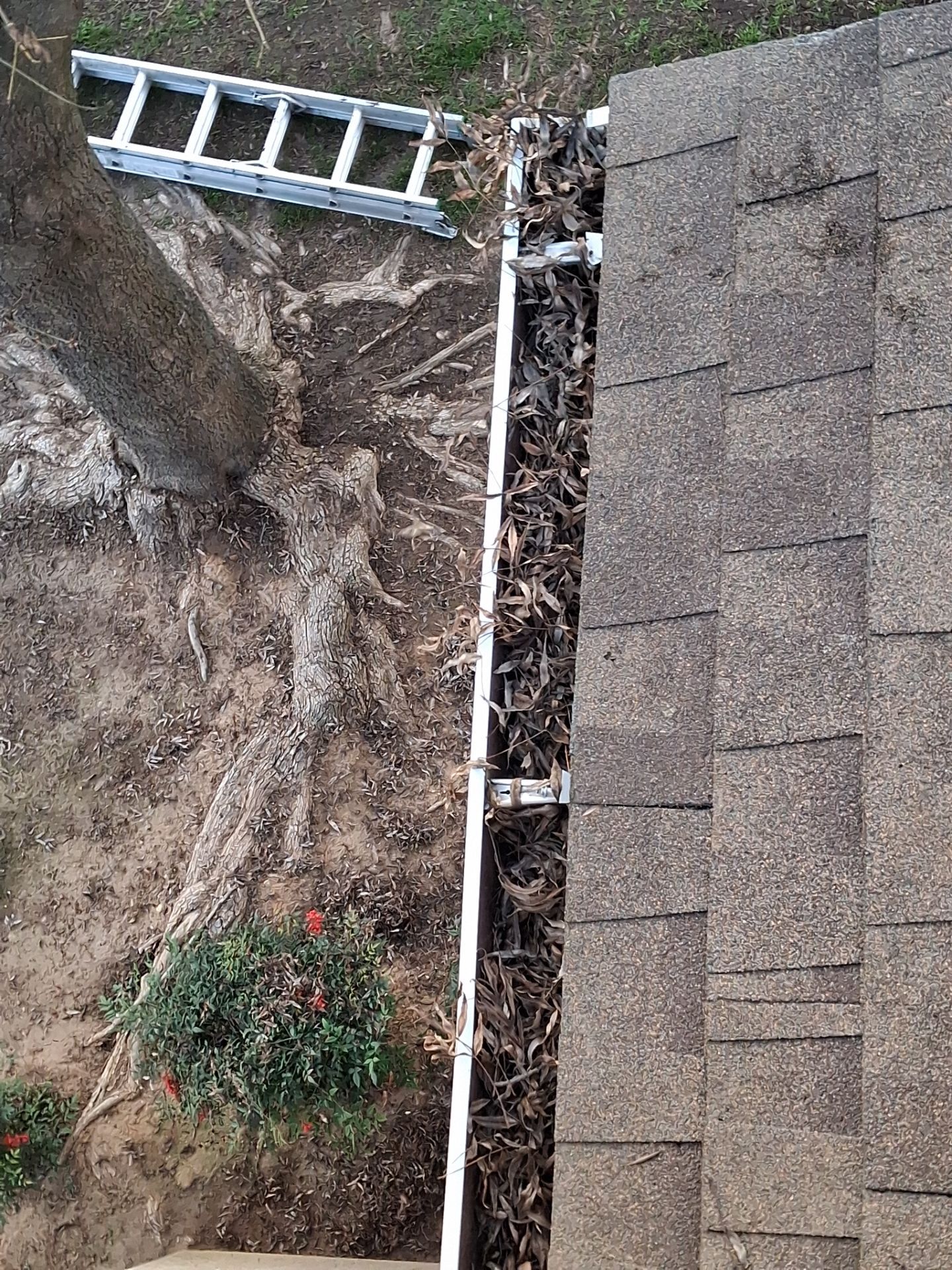 Commercial gutter cleaning Georgia before photo with filled gutters
