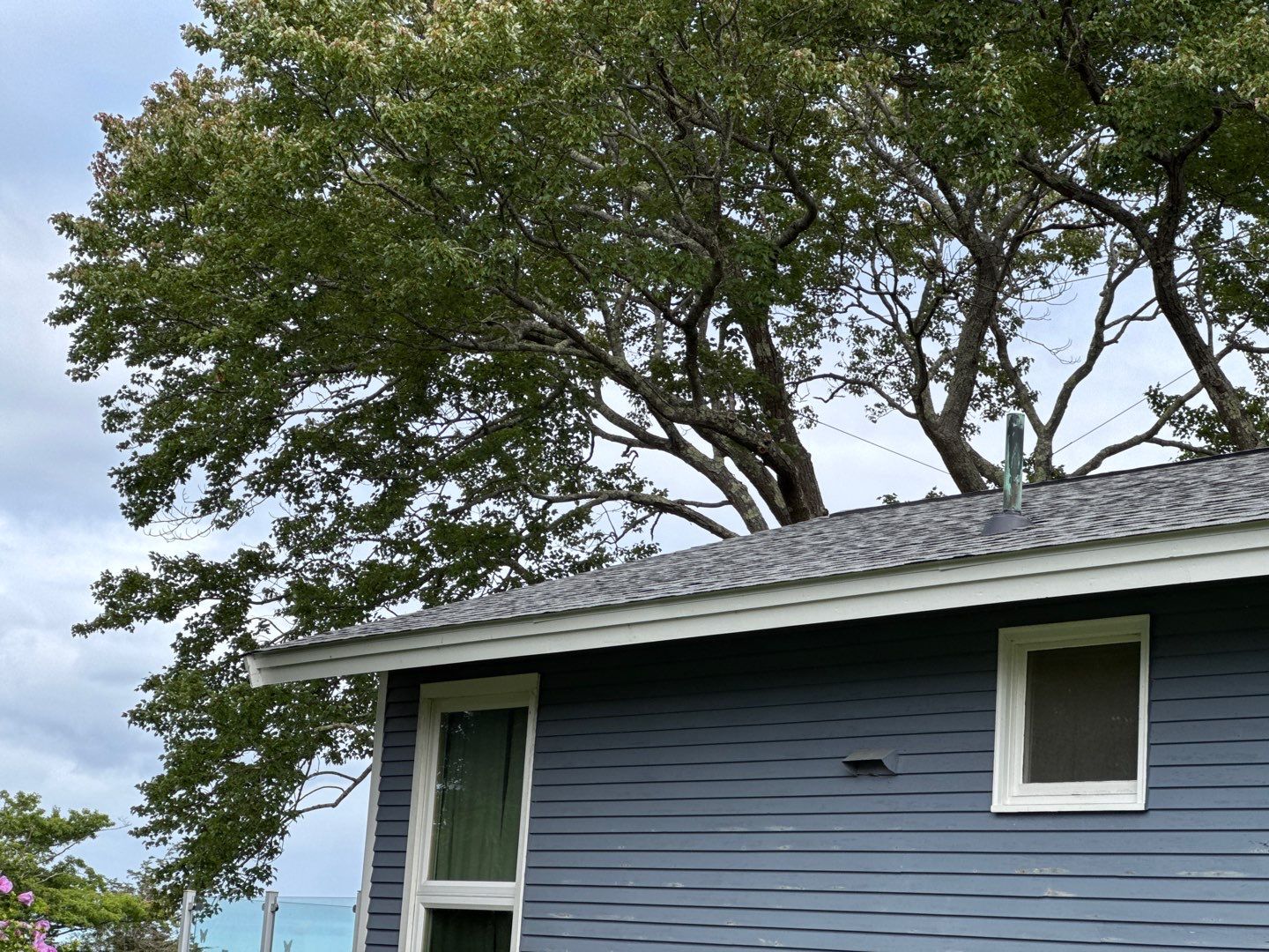 Full Roof Replacement & Carport Trim Repair   by Sensible Home Solutions