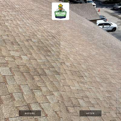 Shingle Roof Cleaning at Kissimmee Commercial Center