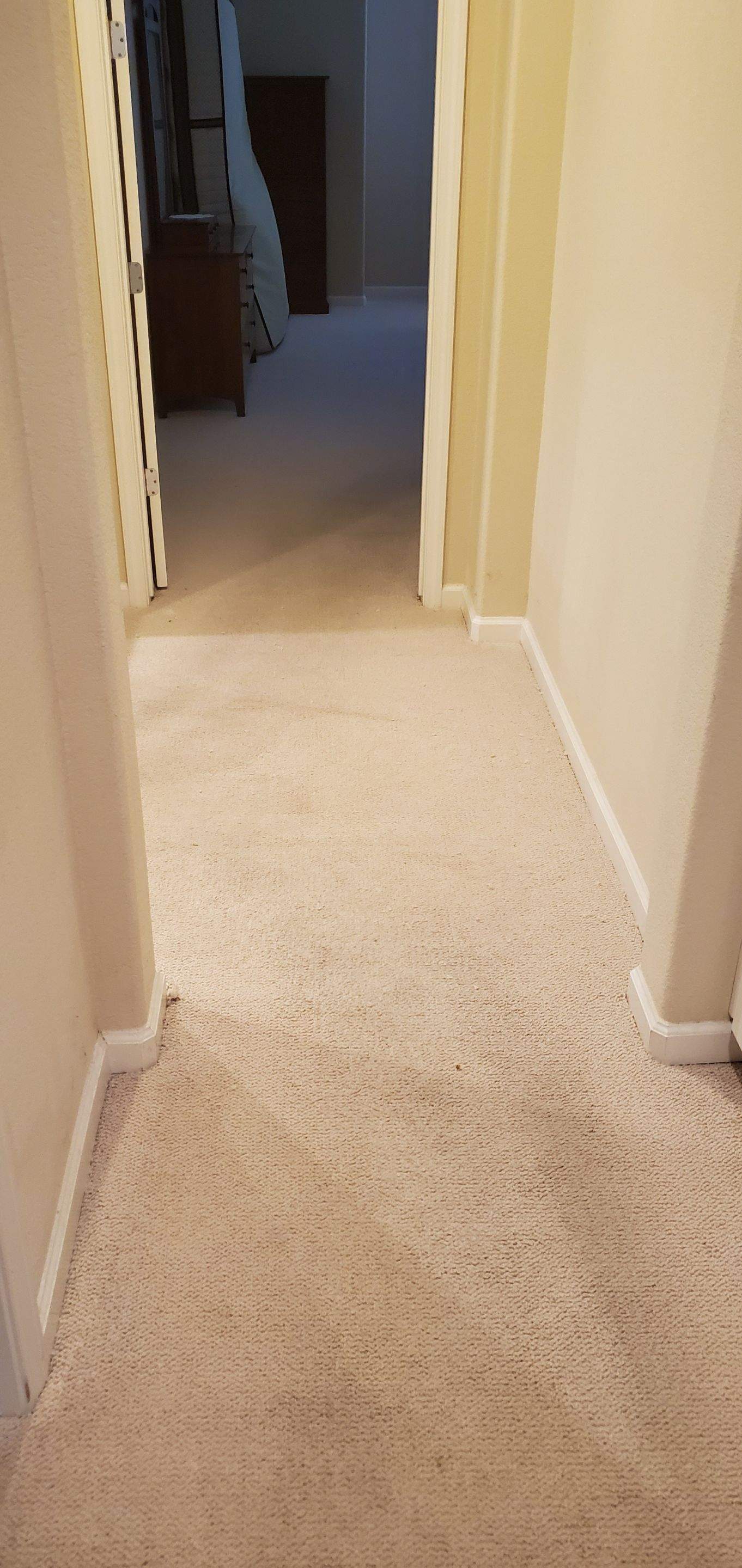 Carpet Re-stretch & Cleaning before House Listing by Ardent Carpet Restore LLC