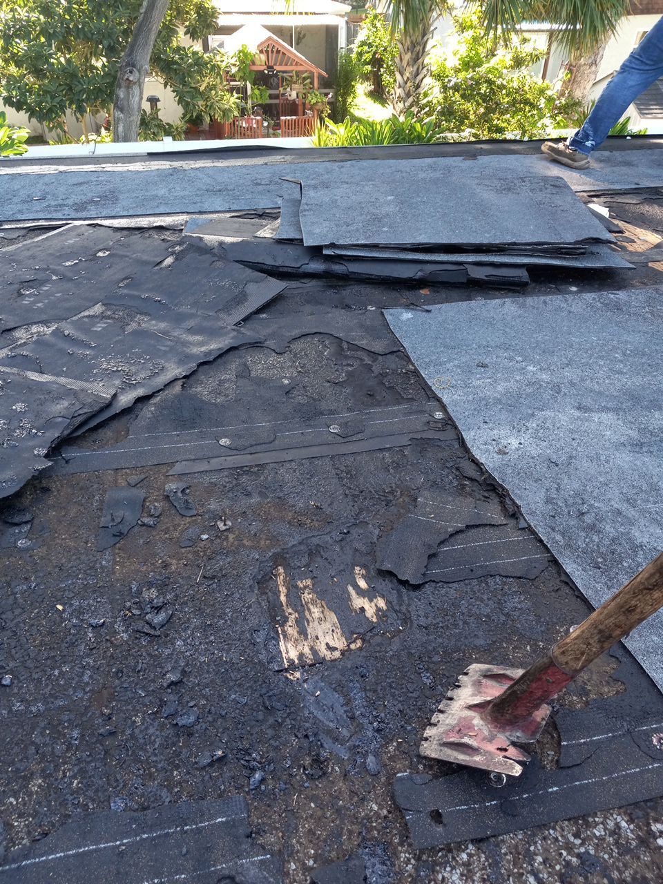 Project in Largo 33774 by Mitchell Roofing Company LLC 
