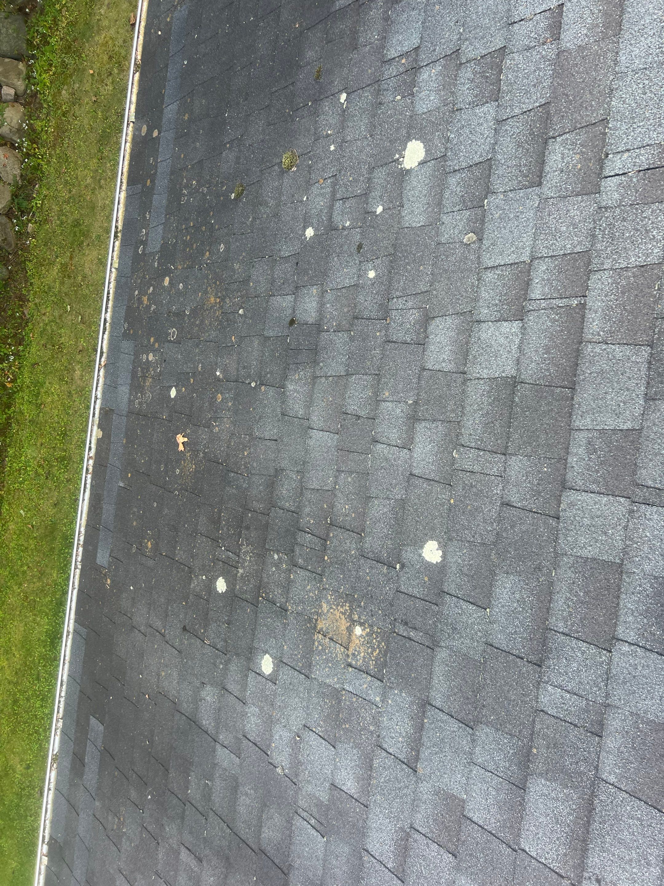 ROOF by JLP PRO SERVICES LLC