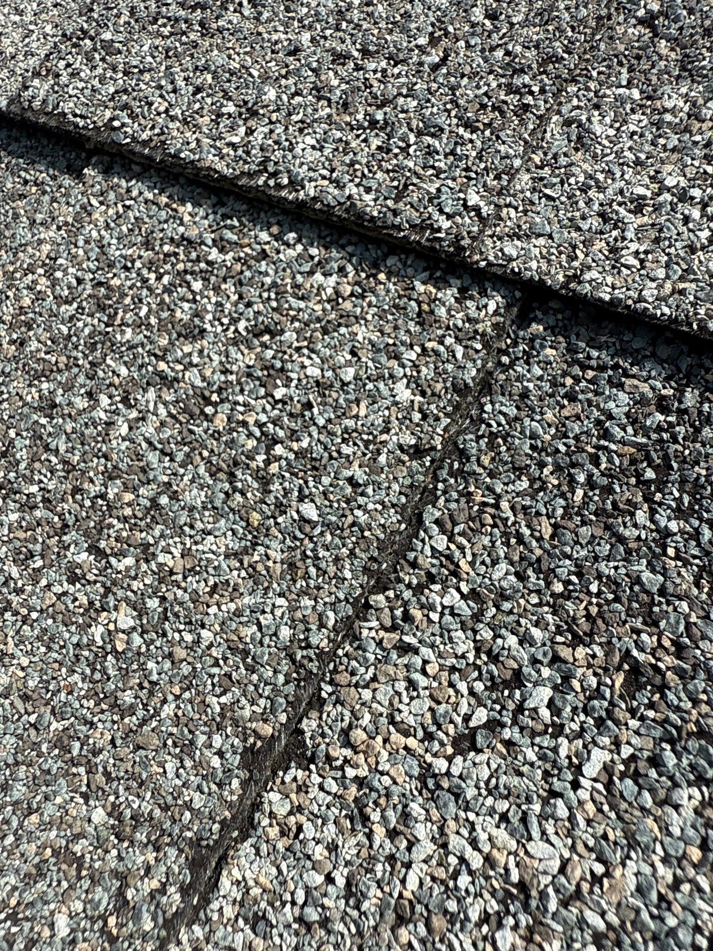 Project in Maidens by Roof Maxx of Midlothian