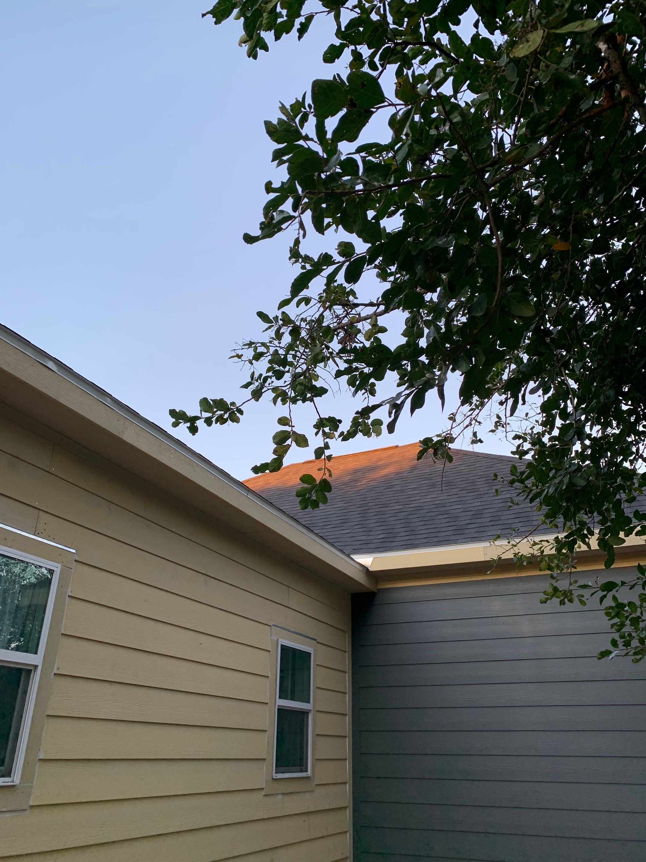 Love Birds Love It by Bayfront Roofing and Construction