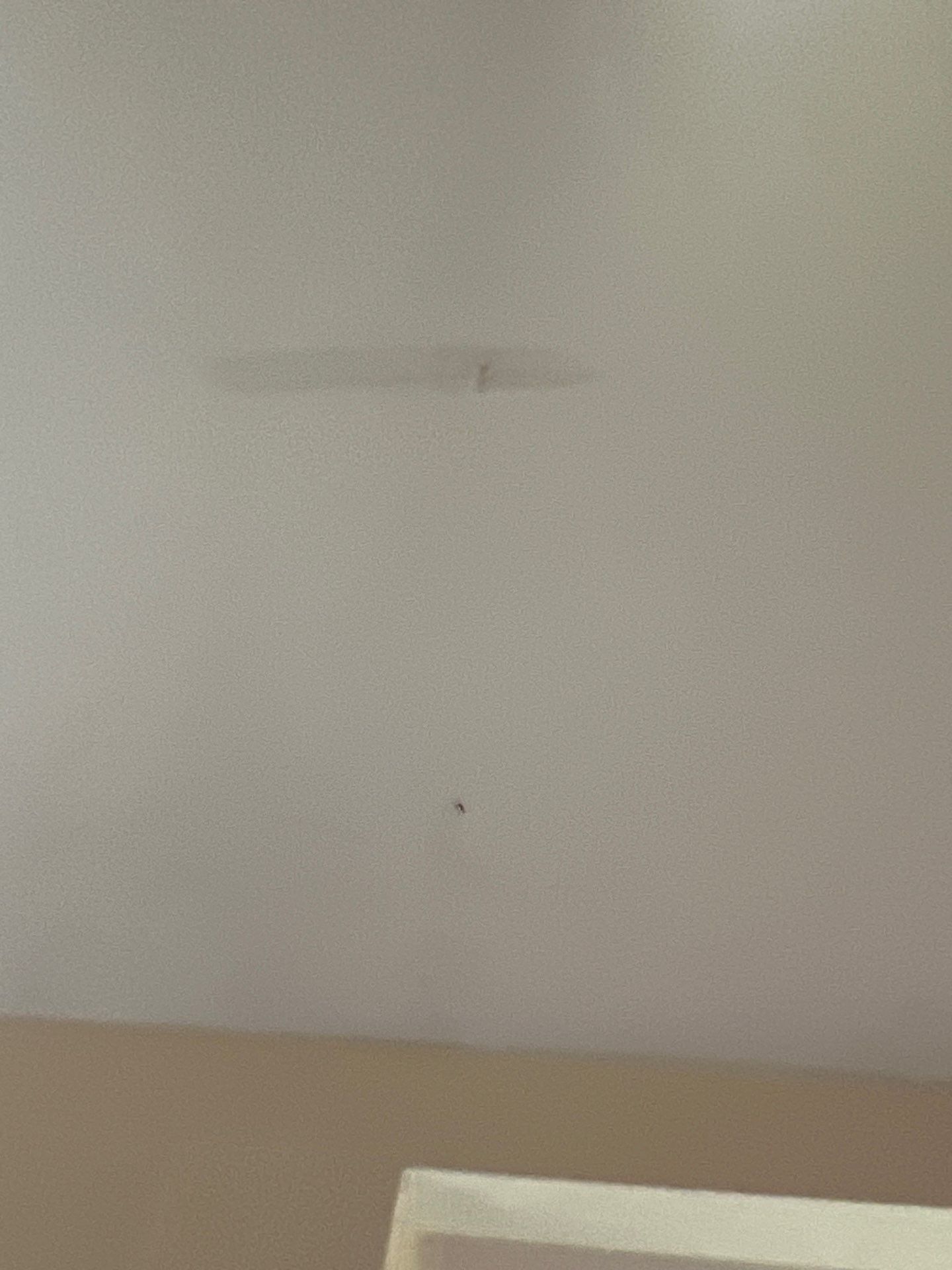 Roof Repair Houston by Roof Repair Company