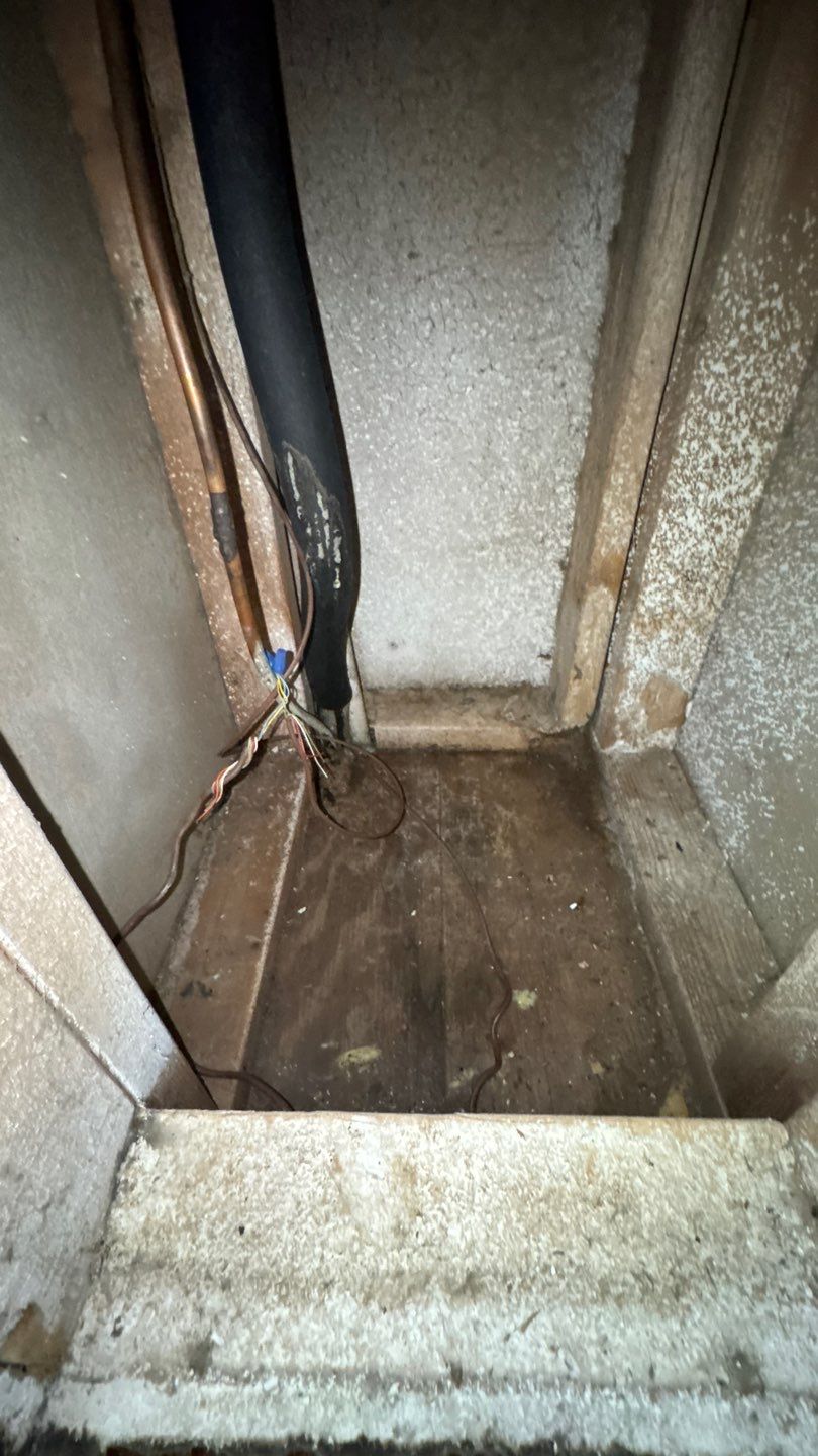 Extremely Dirty Air Duct Cleaning in Fruitland Park by Hygienic Air, Inc