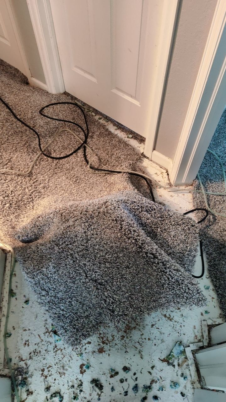 Water Damage by Accountable Home Services