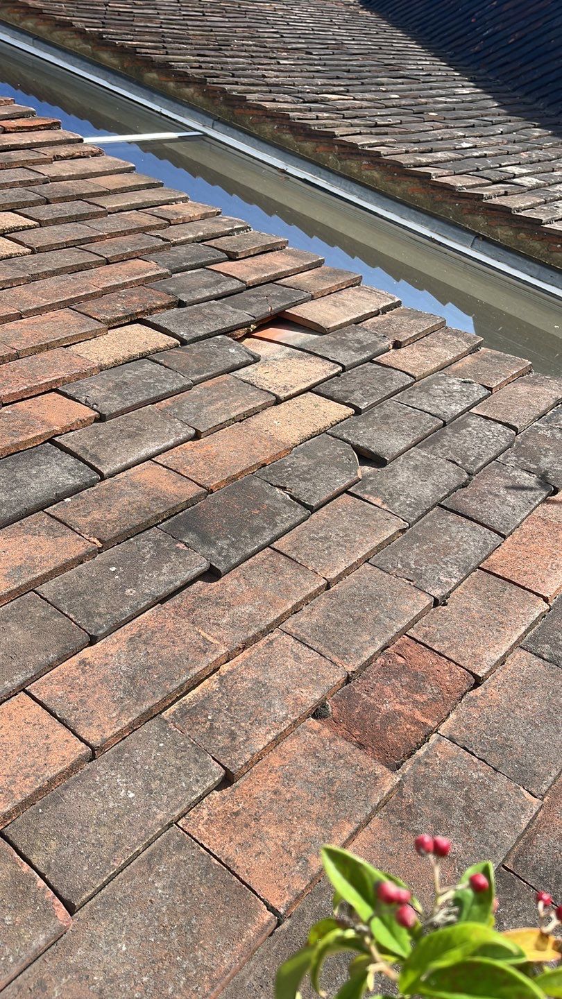 Roof Clean - Biocide Treatment using Honda 15lpm Low Pressure Washing Machine by Ges Exterior Cleaning ltd