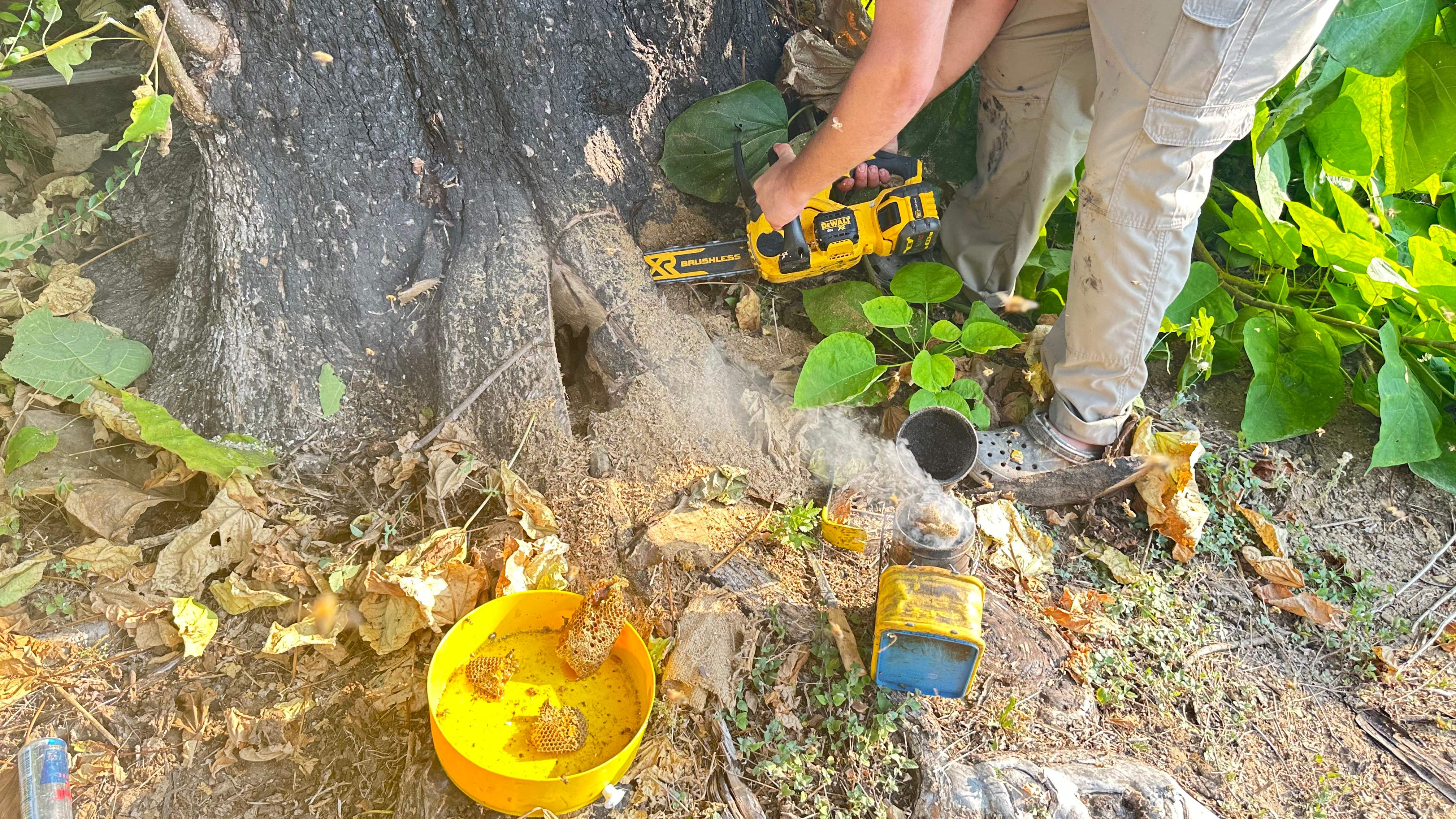 City Tree Company  by Rockwall Honey Bee Company