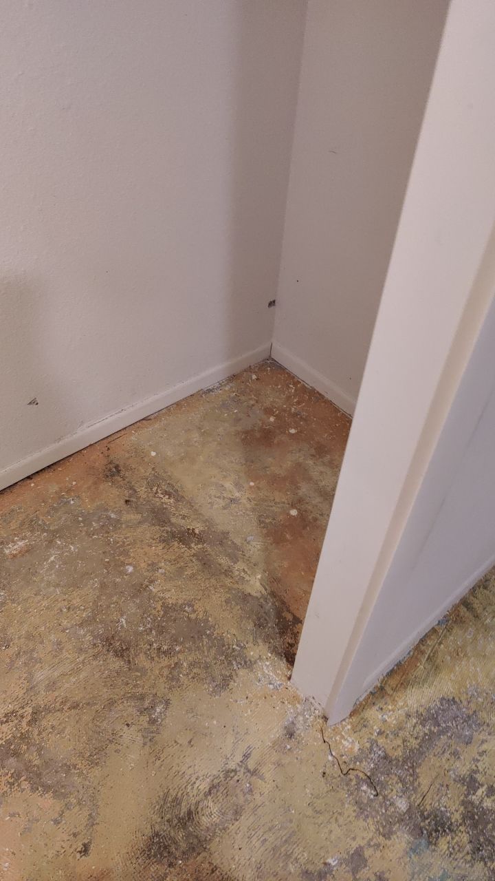 Water Damage by Accountable Home Services