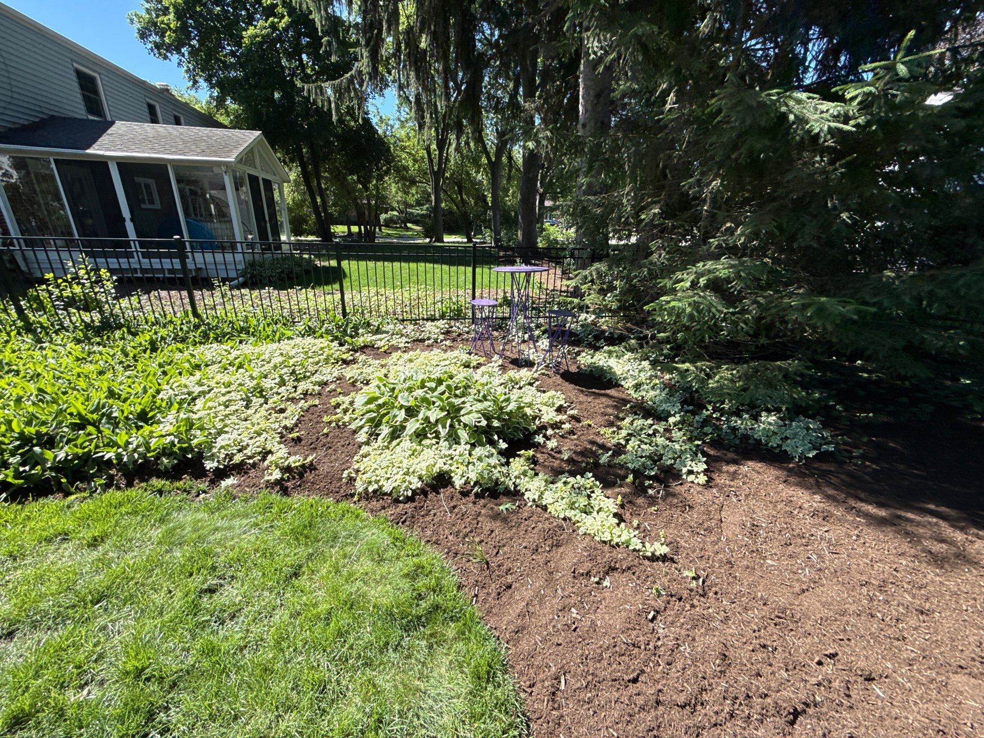 Lesley D. - Arlington Heights, IL by A&N 