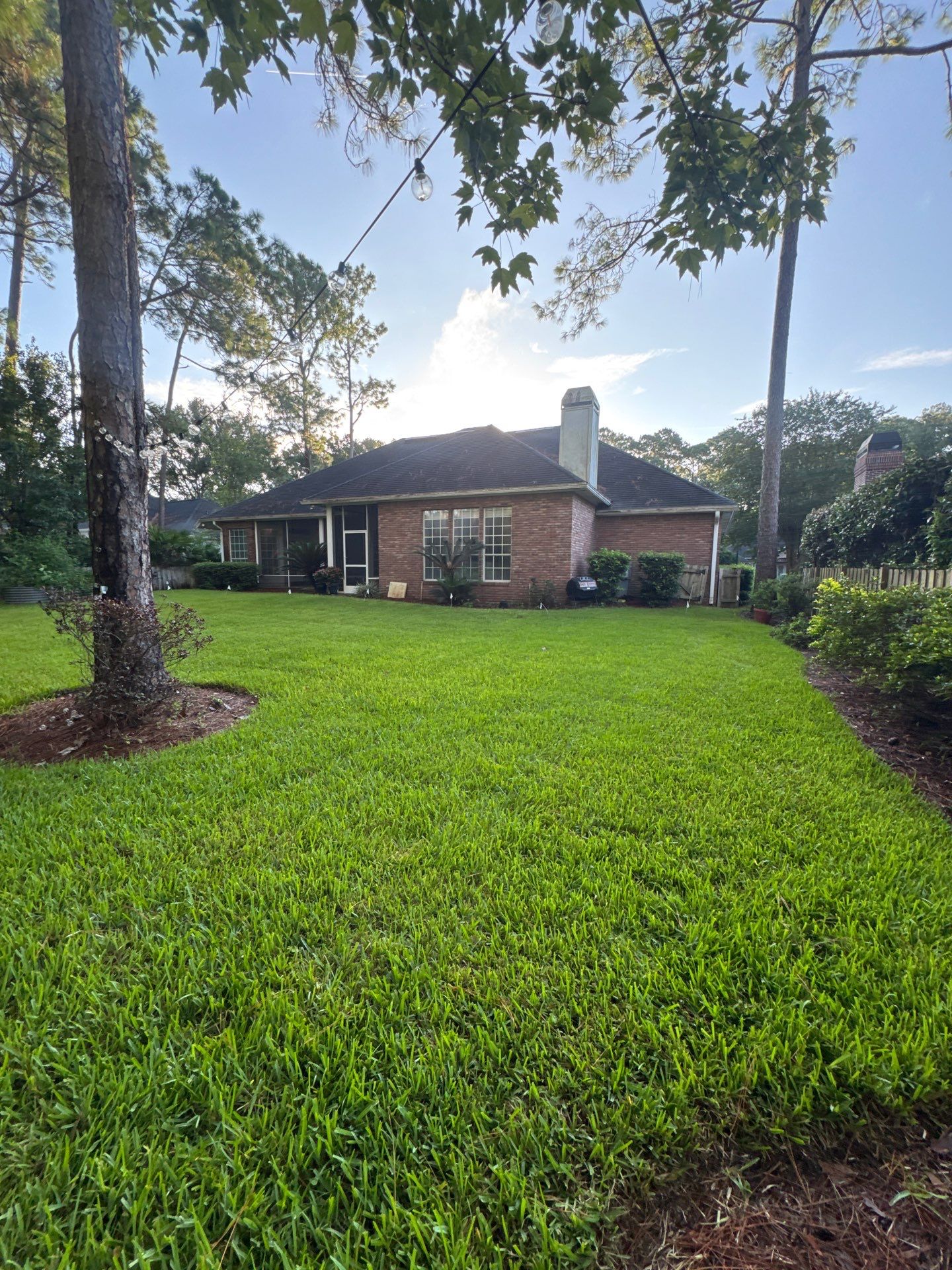 Residential | Shrub Trimming by ProGreen Services