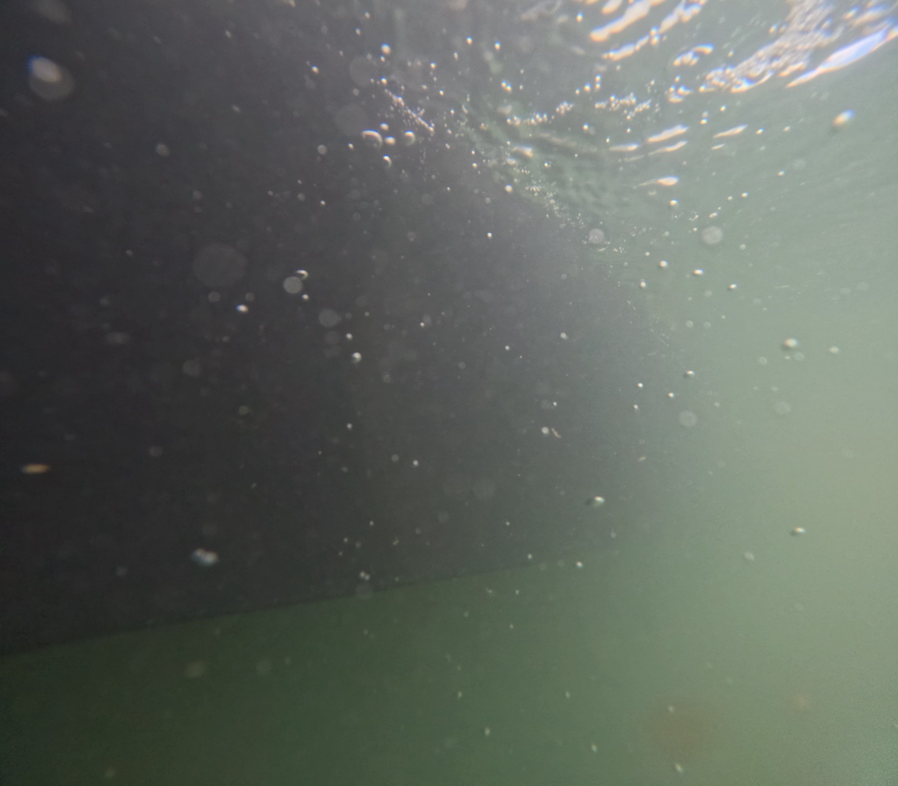 Project in Marco island, FL by Florida Hull Cleaning 